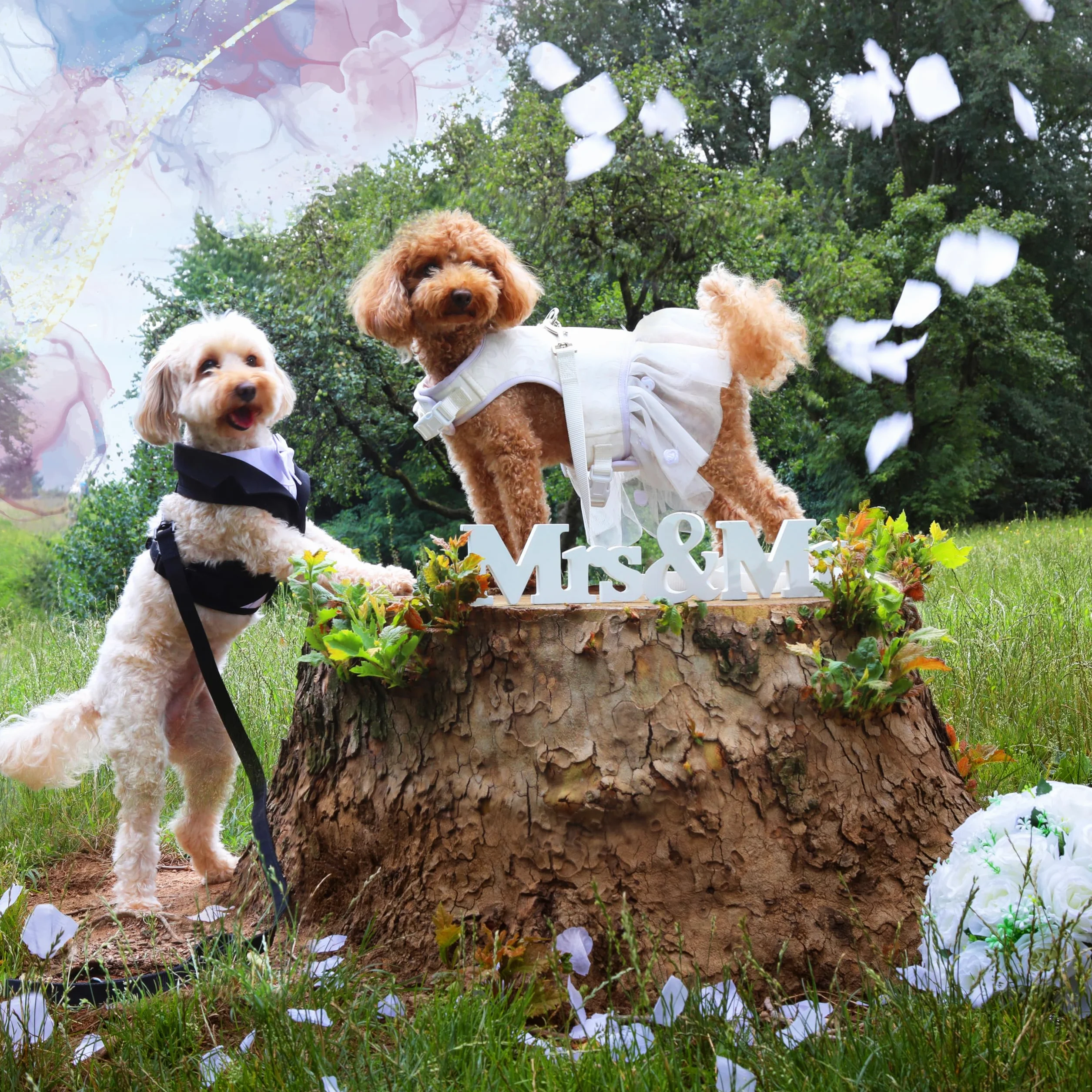 Croci Ceremony Bride uprząż dla psa, na ślub, sukienka dla psa z tiulową spódnicą, Adamaszek, regulowana, XS/24-27 cm