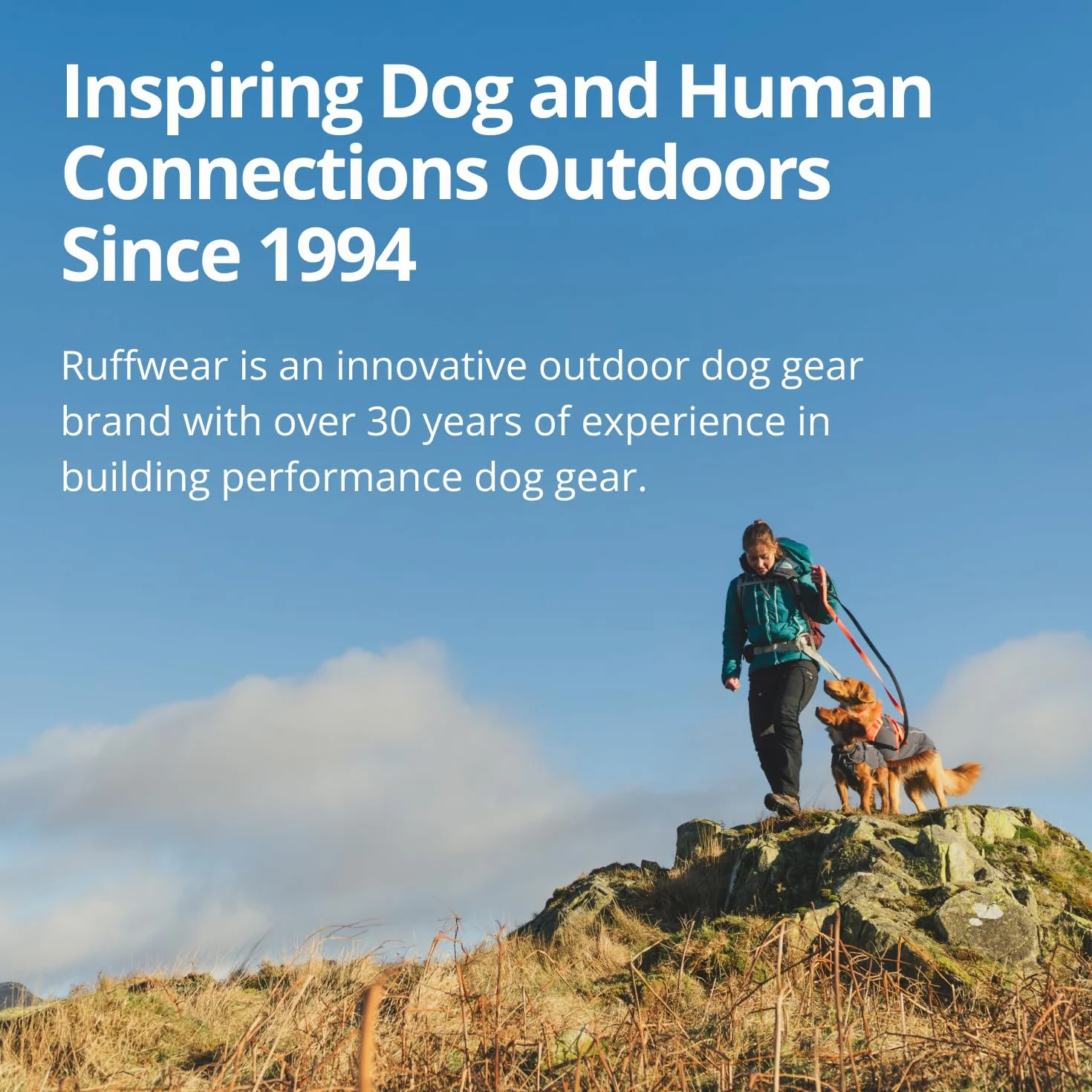RUFFWEAR Leash, Switchbak, smycz dla psa z regulowaną długością i 2 klipsami zamykającymi, nad ramieniem, w dłoni, łącznik, podwójny klips, rozmiar uniwersalny, River Rock Greeen