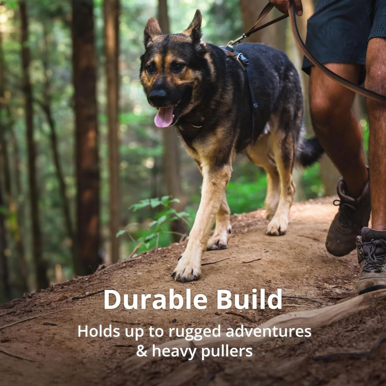 RUFFWEAR Uprząż Front Range, XX szelki dla małych psów, odblaskowa uprząż Y, regulowana, wygodna, wyściełana uprząż dla psa, bez ciągnięcia, 2 mocowania smyczy i pierścień w kształcie litery V,