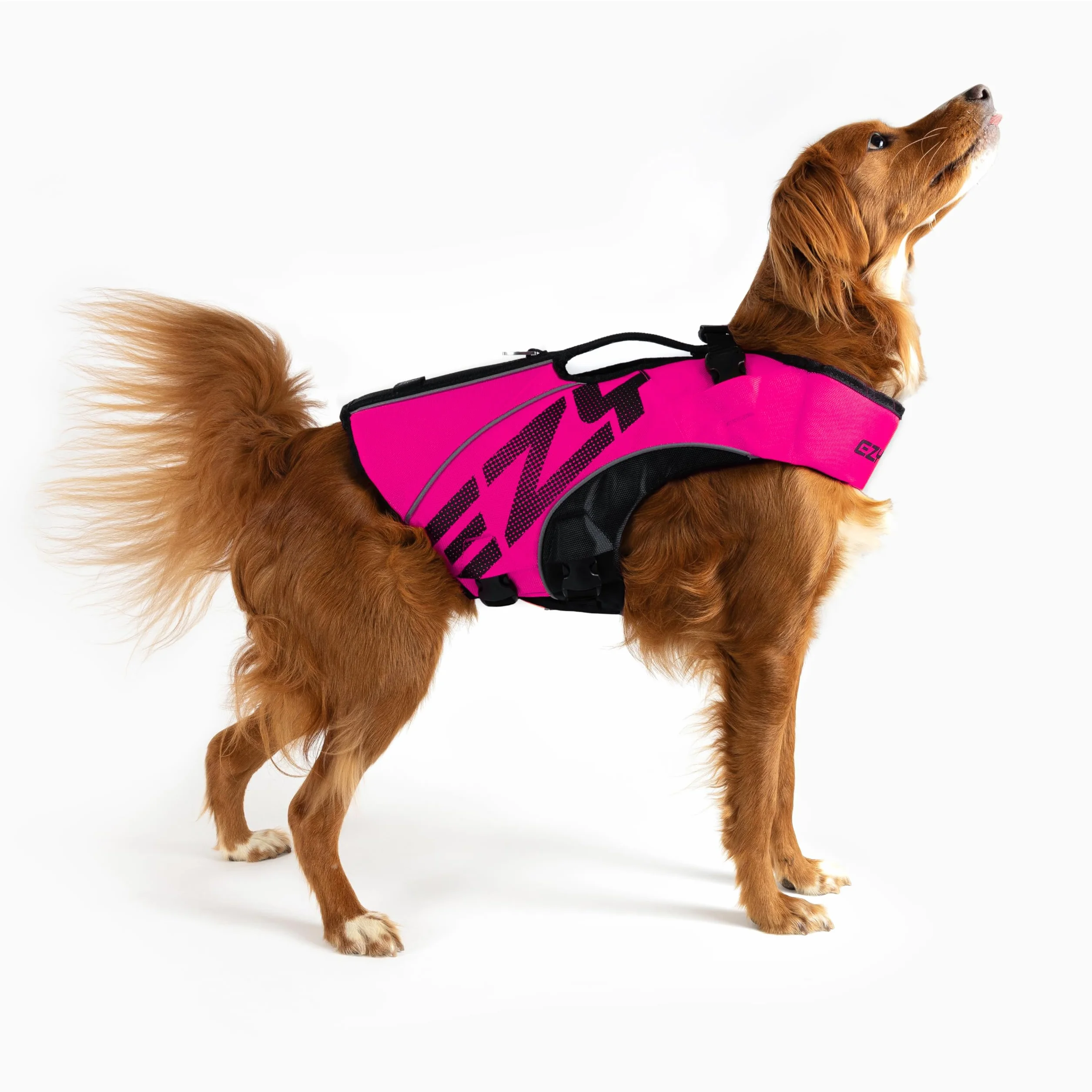 EzyDog DFD X2 Kamizelka ratunkowa dla psa, regulowana kamizelka ratunkowa do pływania, z ciągłym podnoszeniem szyi, odblaskowe wykończenie i uchwyt (rozmiar 2XS, różowa)