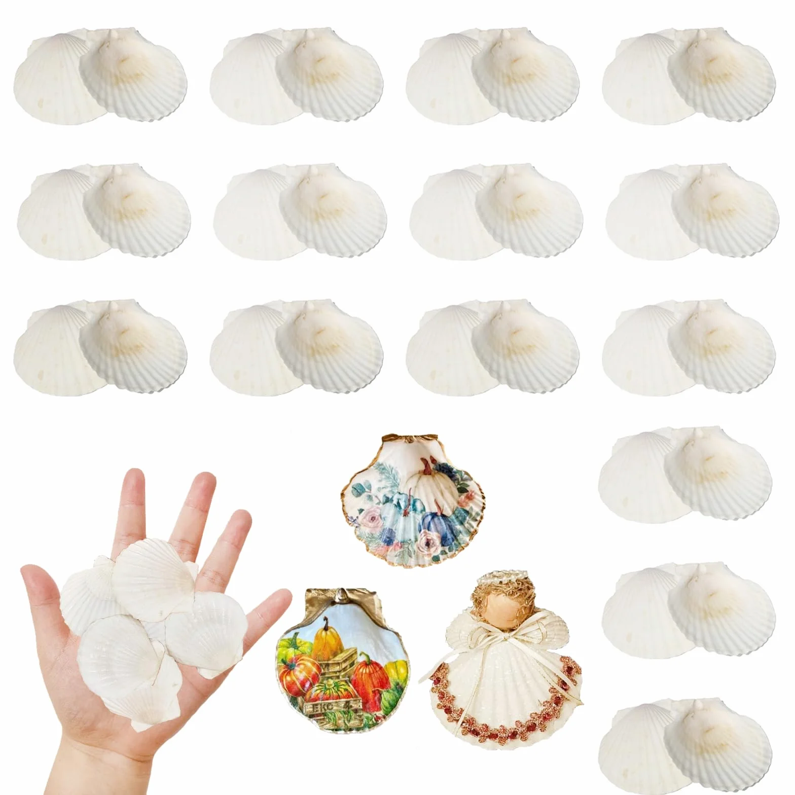 30 sztuk muszli małża 3-5 cm Prawdziwe muszle do rękodzieła, malowania, naturalne muszelki do dekoracji morskiej, akwarium, ślub