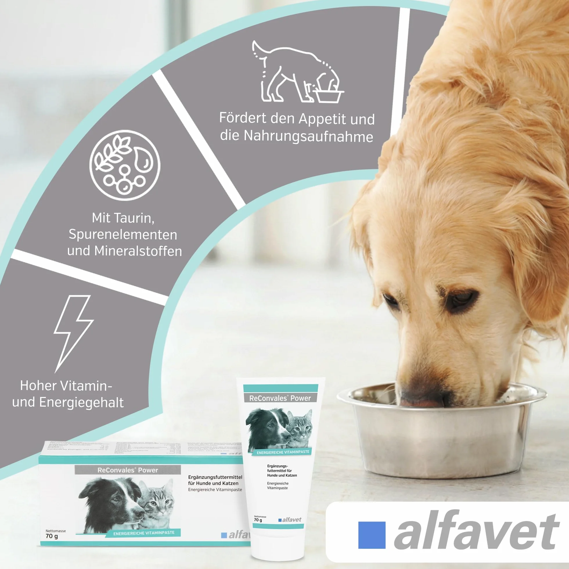 Alfavet ReConvales Power – tubka 70 g – suplement diety dla psów i kotów – pasta do karmienia w przypadku niedowagi