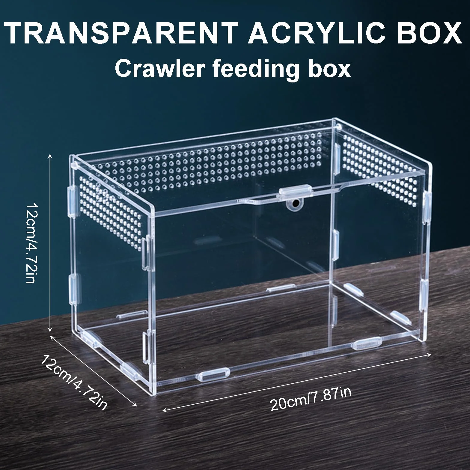 Przezroczyste Terrarium Akrylowe dla Ślimaków i Gadów (20 x 12 x 12 cm) – Pojemnik Transportowy, Klatka Rozrodcza, Pudełko do Karmienia, Mini Terrarium dla Płazów i Gadów
