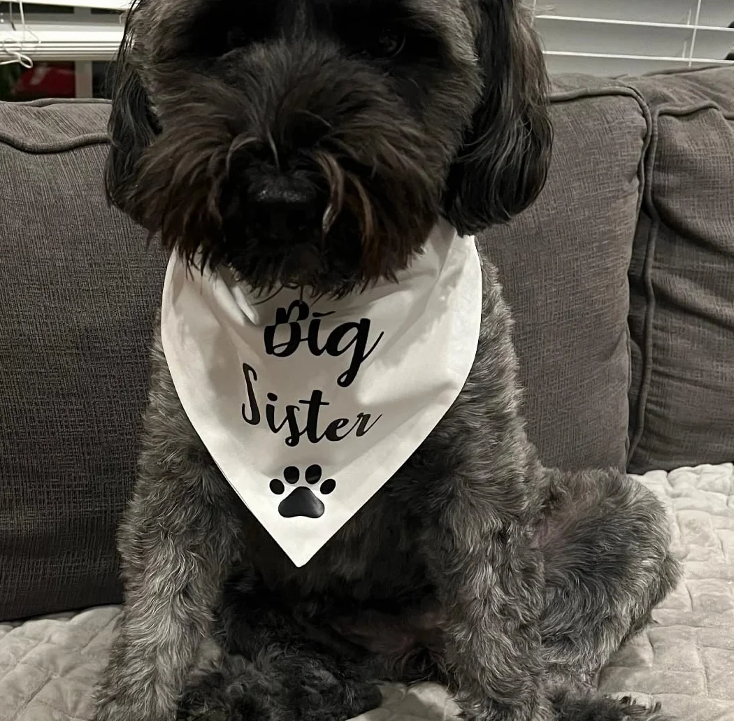 Big Brother Big Sister Bandana dla psa, ogłoszenie ciążowe zdjęcia nowego szczeniaka Gotcha Day ujawnienie płci (styl 3)