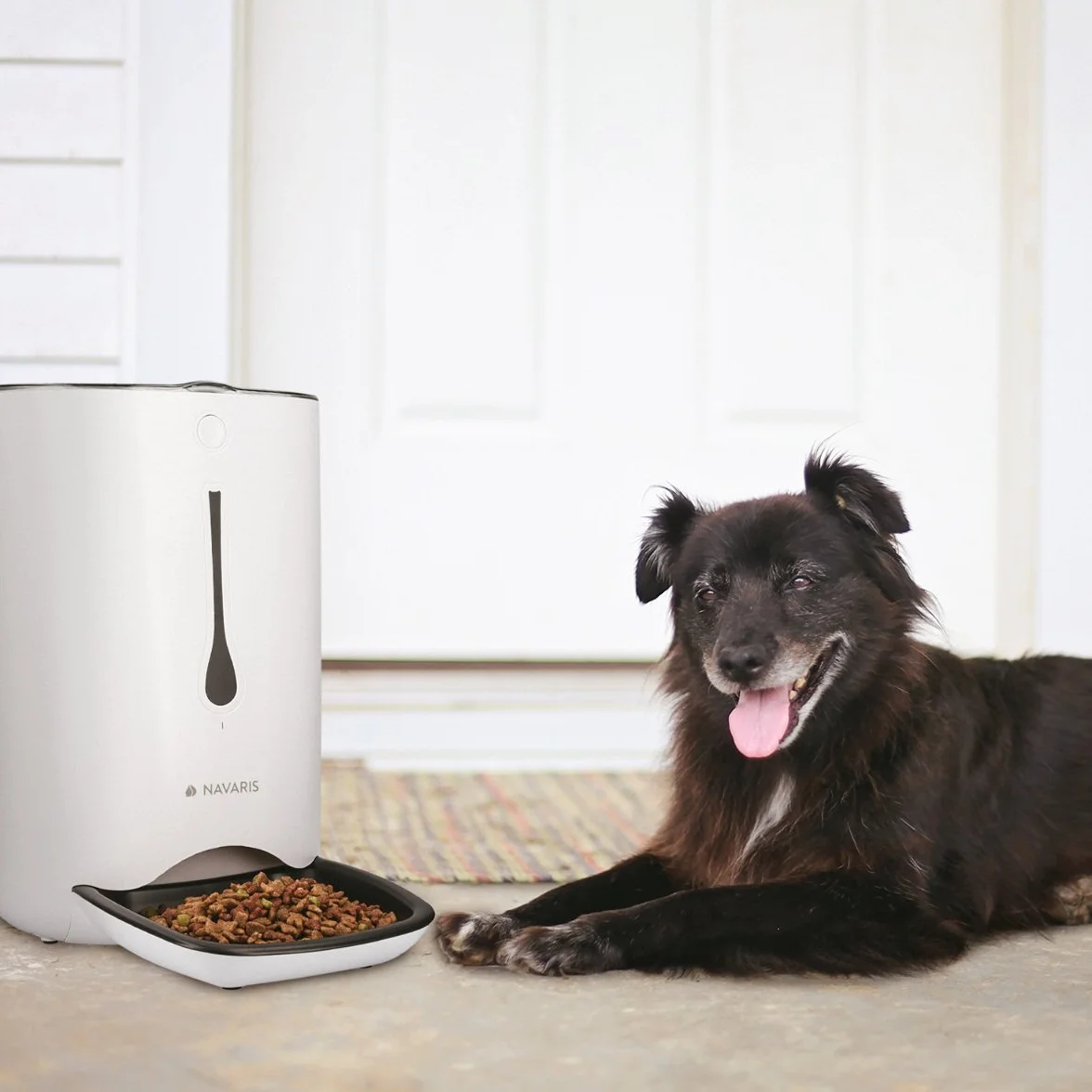Navaris Automatischer Futterautomat Futterspender mit Timer - 6L Futternapf Automat mit Timer und akustischer Benachrichtigung - für Hund und Katze