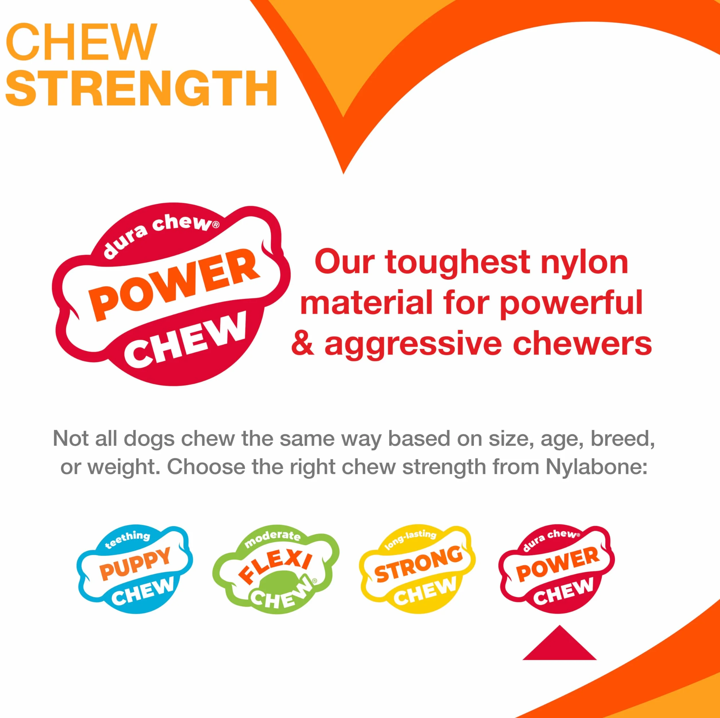 Nylabone Dura Chew Extreme Tough Dog Chew zabawka do żucia, smak bekonu, XS, dla psów do 7 kg