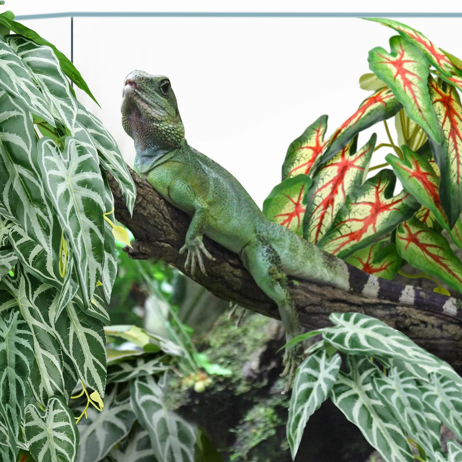 QUOZUO 2 sztuki Sztuczne rośliny do terrarium, sztuczne liście do dekoracji terrarium z przyssawkami, wiszące rośliny pnącza do terrarium dla brodawczaków, jaszczurek, węży, geko, żab