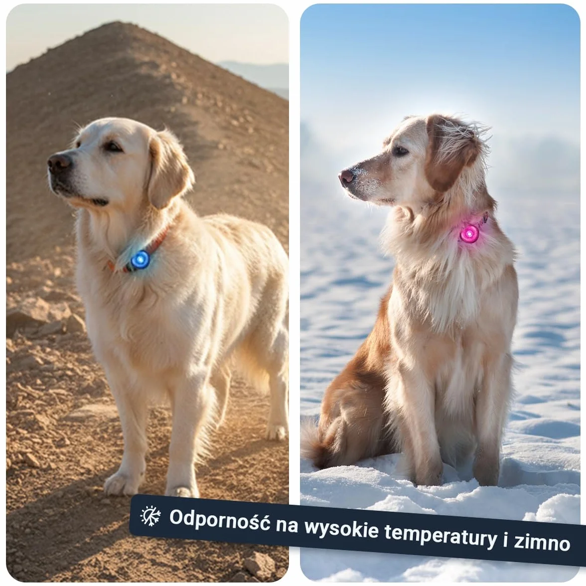 PAJ LIGHT MINI - Mini Świecąca Obroża LED Dla Małych I Średnich Psów I Kotów - Regulowane Mocowanie - 100% Wodoodporna - 7 Kolorów - Widoczność I Bezpieczeństwo W Nocy
