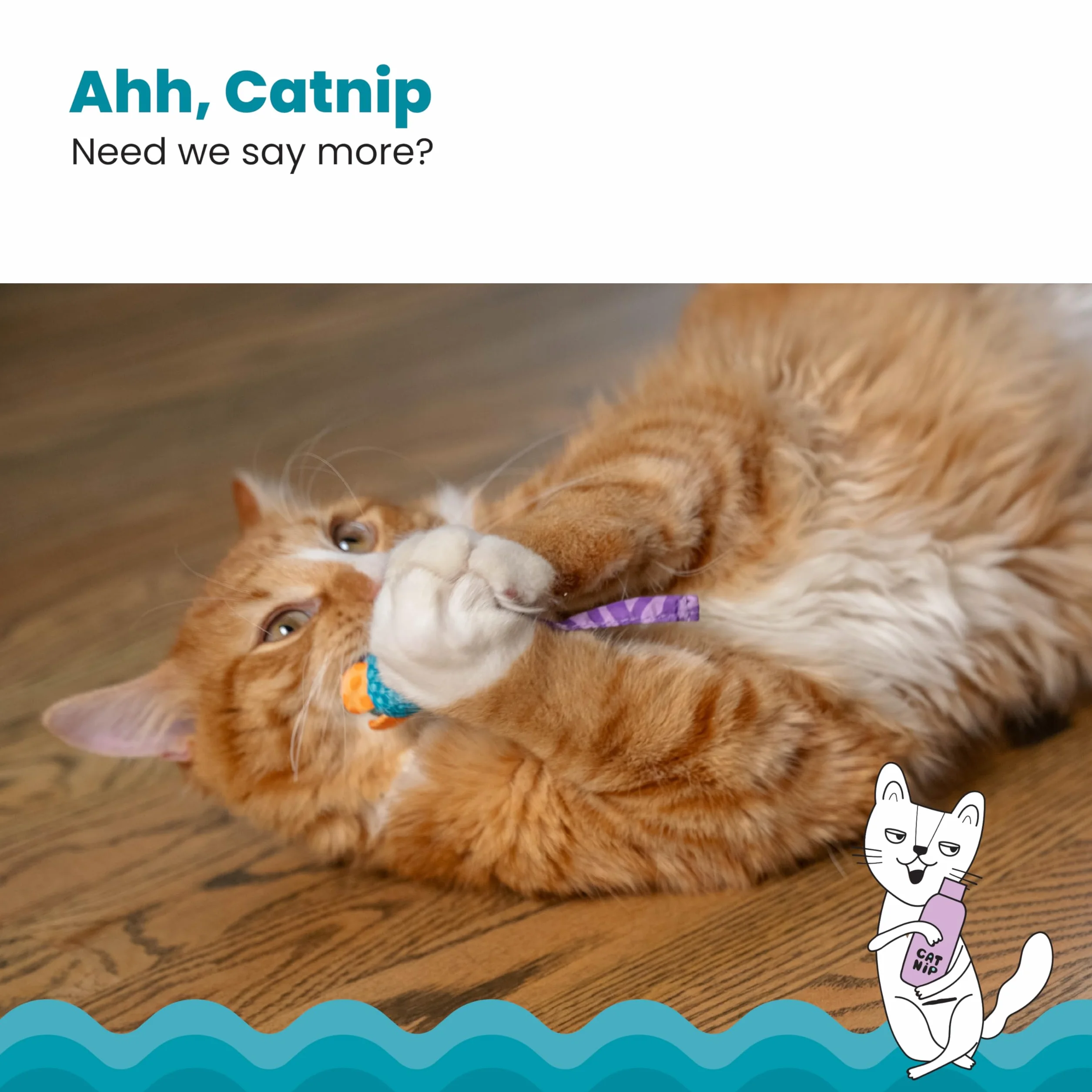 Petstages Catnip Chew Mice - Zabawka dla kota - dba o zdrowe zęby - wielobarwna - 2-pak
