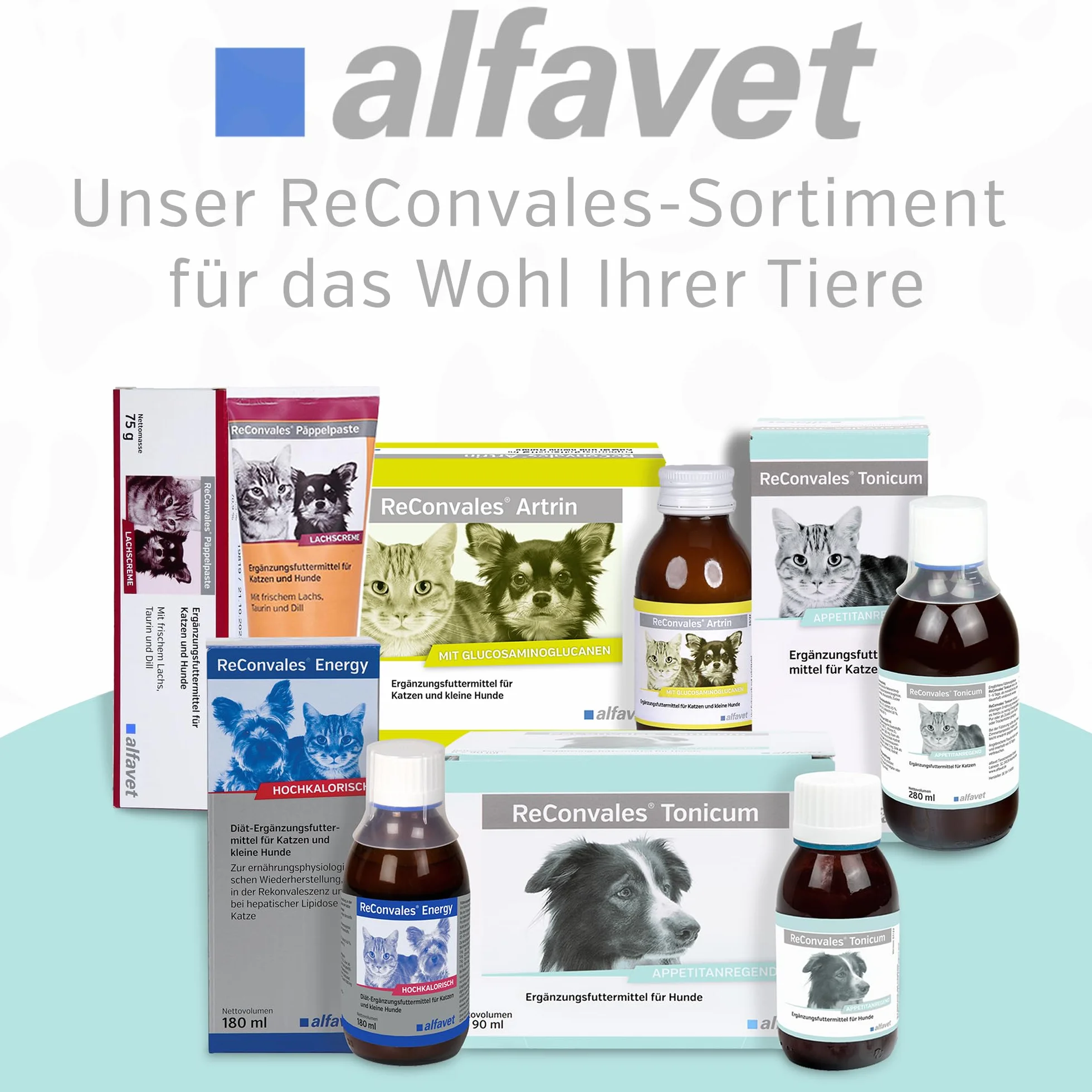 Alfavet ReConvales Power – tubka 70 g – suplement diety dla psów i kotów – pasta do karmienia w przypadku niedowagi