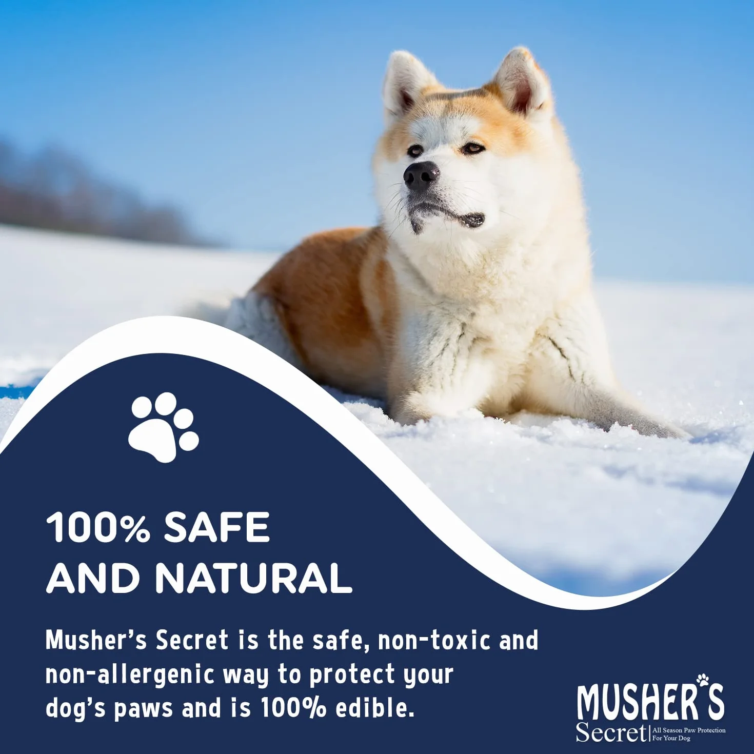 Musher's Secret Paw Protector, Balsam do łap psa, 60 g