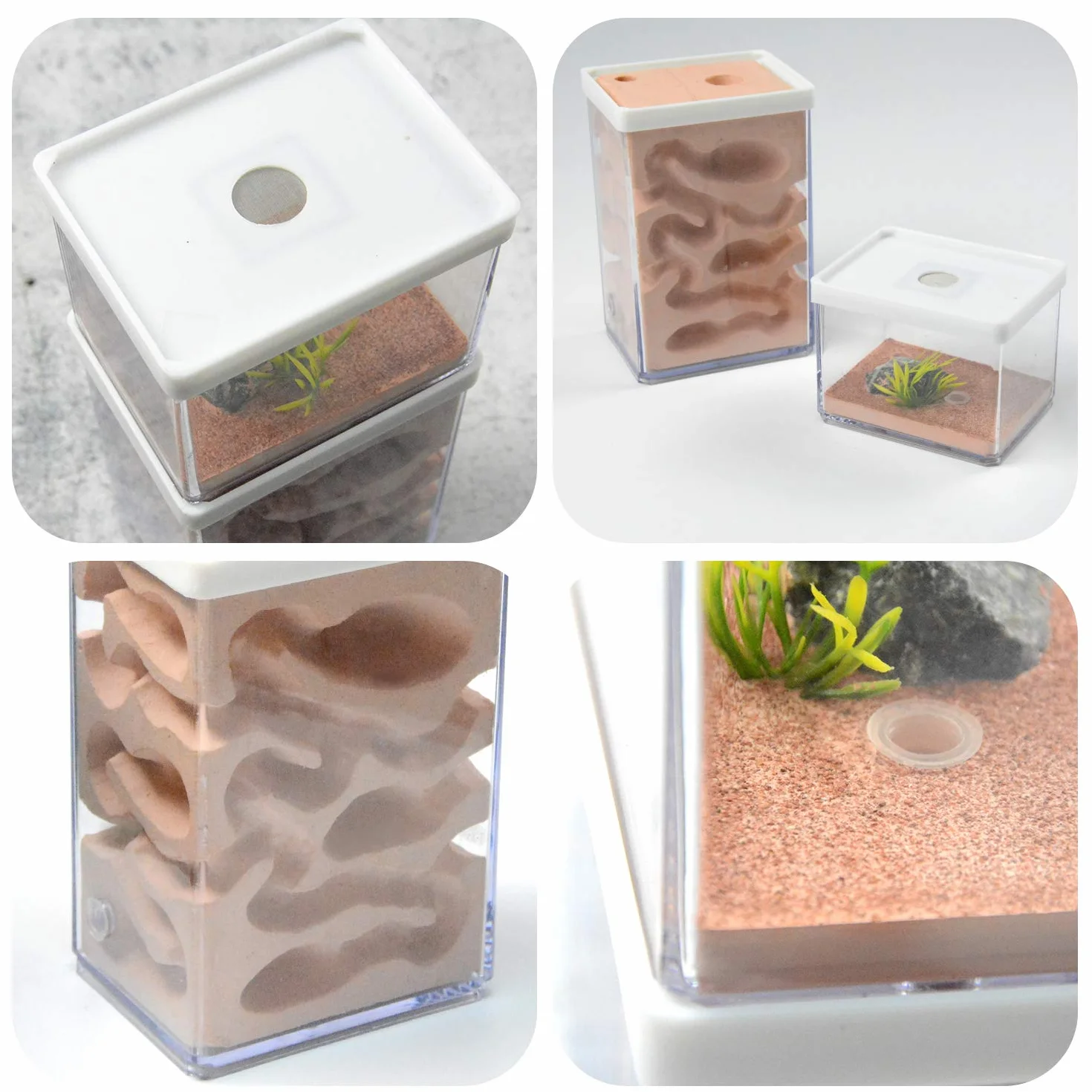 aleawol Naturalna farma mrówek, gniazdo mrówek z gipsu, przezroczysty domek dla mrówek, pudełko do hodowli mrówek, terrarium, domku, Ant Farm Ant Nest Habitat