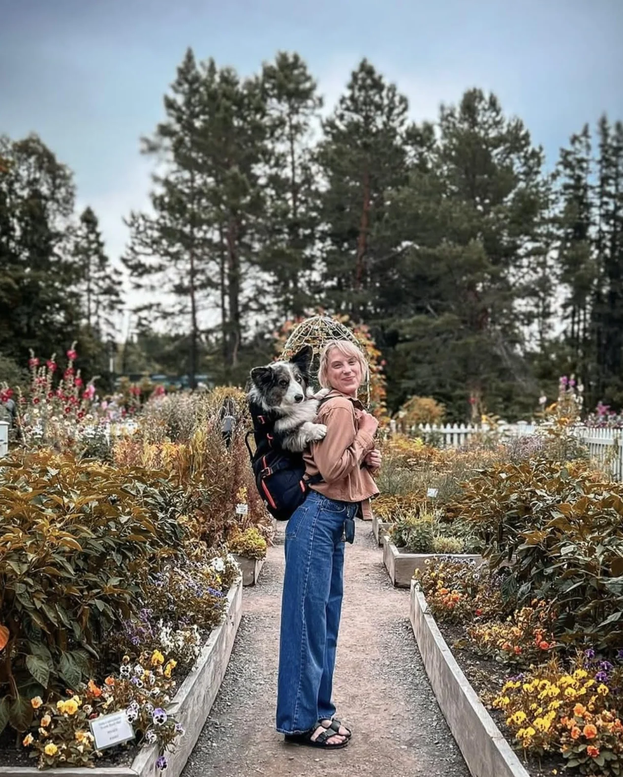 Maxine One Dog Backpack Carrier firmy LITTLE CHONK, regulowana torba skierowana z przodu do podróży lub wędrówek, stworzony dla zwierząt domowych o wadze do 22,7 kg, czarny