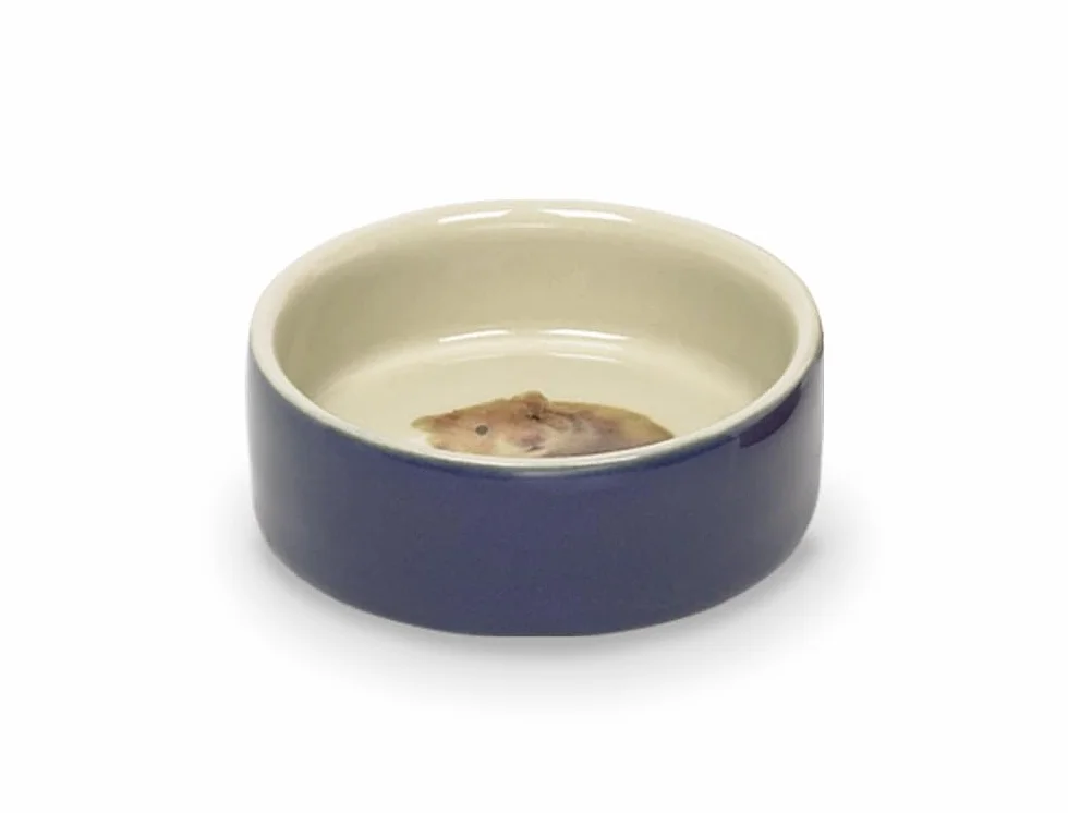 Nobby 73391 Ceramiczna Miska z Chomikiem, 7,5 x 2,5 cm