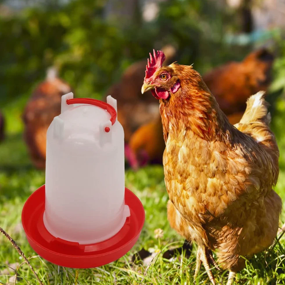 Plastikowy zestaw poidła i dozownika karmy dla drobiu 1,5 l 1,5 kg