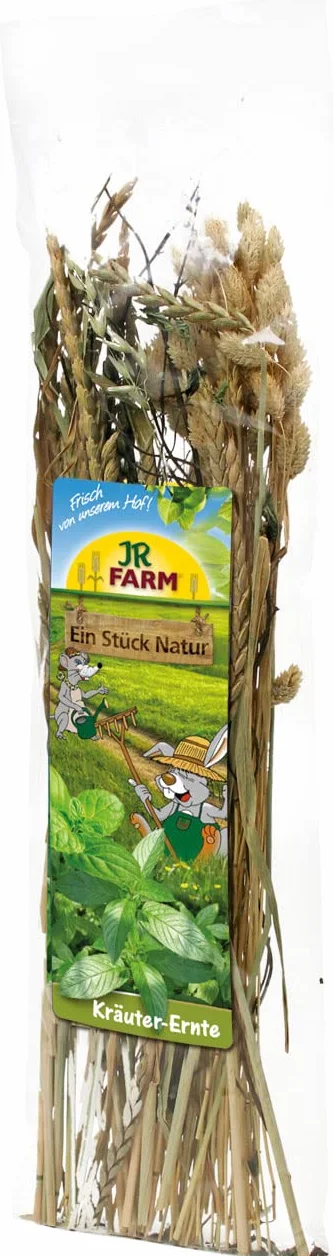 JR FARM ESN zbiory ziół 80 g
