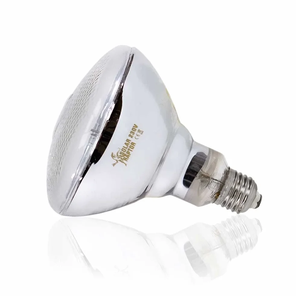 Econlux SolarRaptor 80 W MVL PAR38