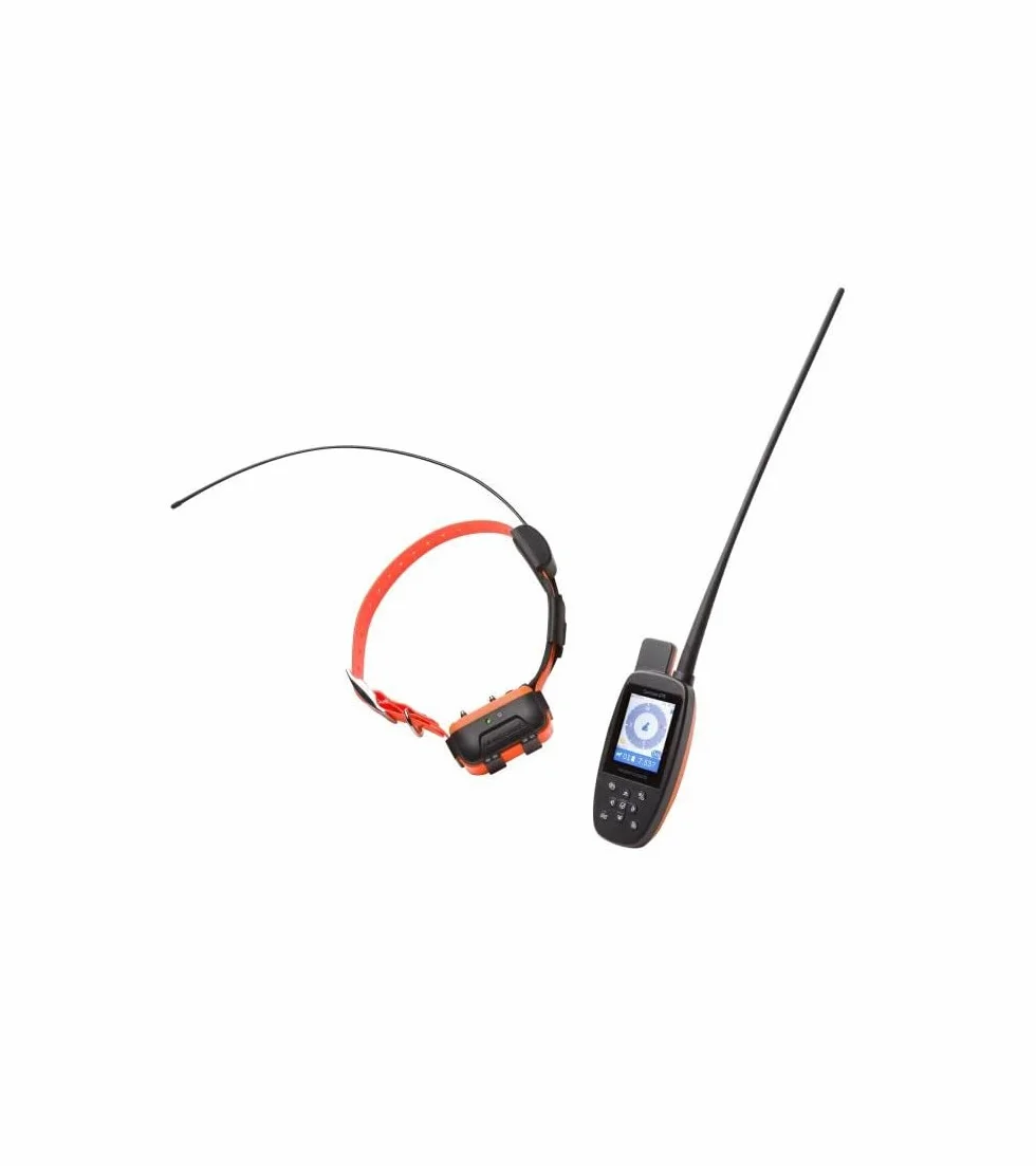 NUM'AXES Kompletny zestaw CANICOM GPS - system GPS 2 w 1: Lokalizacja + funkcja edukacji dalekiego zasięgu