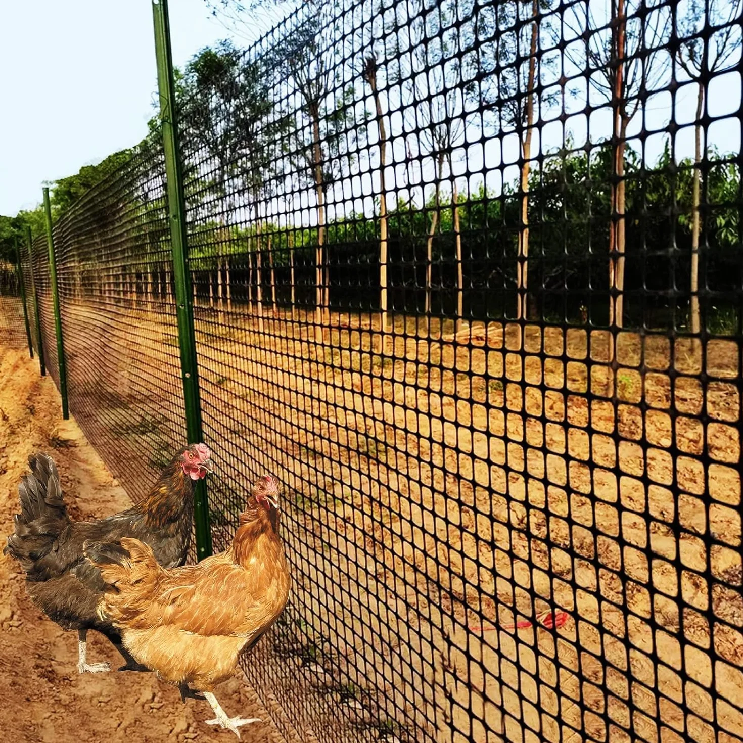 Ogrodzenie Ogrodowe Bariera dla Zwierząt Zewnętrzne Zabezpieczające Rolka Pies Kurczak Kot Wielokrotnego Użytku Plastikowe Zabezpieczenie Budynku Ekran(2x50m(6.56x164ft))