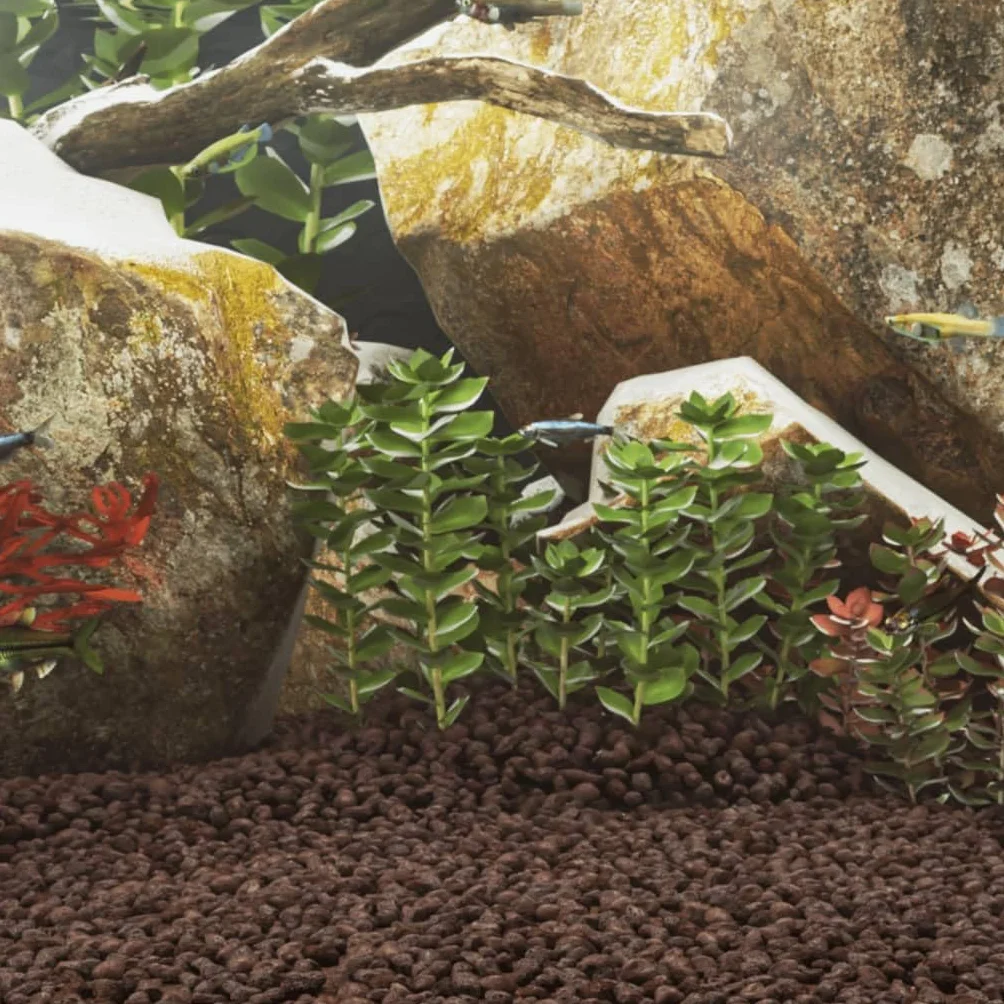 Granulat lawy wulkanicznej, skała wulkaniczna, 25 kg, czerwona, 5-8 mm, do dekoracji akwarium, słodkowodnych i morskich, terrarium z naturalnym kamieniem do kryjówki i filtra biologicznego