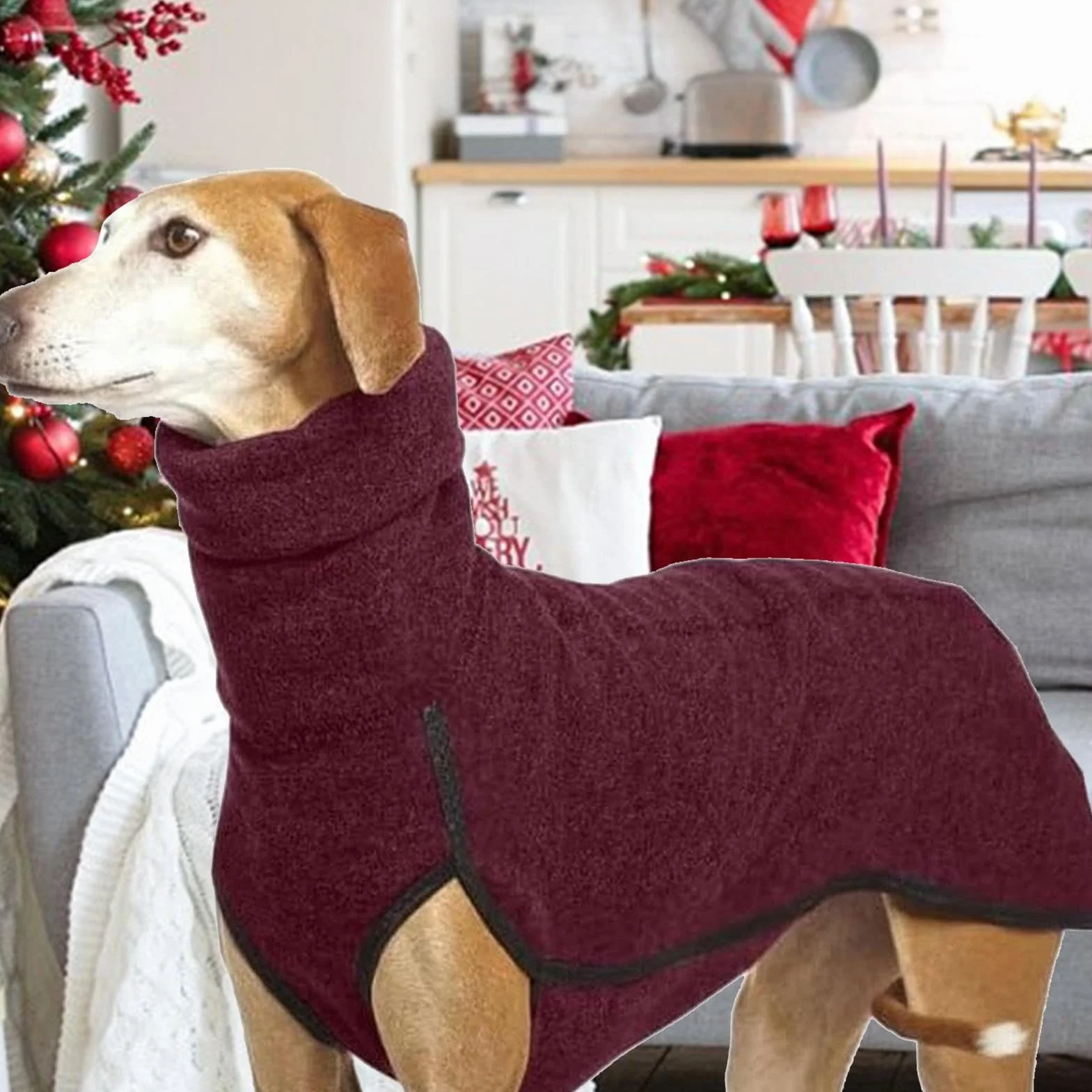 Sweter Whippet, Sweter Chartów, Płaszcz z Polaru dla Chartów, Ubrania dla Psów Whippet, Płaszcz Pullover dla Zwierząt Domowych, Ciepły Sweter dla Włoskich Chartów Bluza, Zimowa Rozciągliwa Koszula z