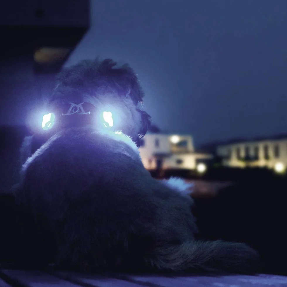 luumi LED Cyan