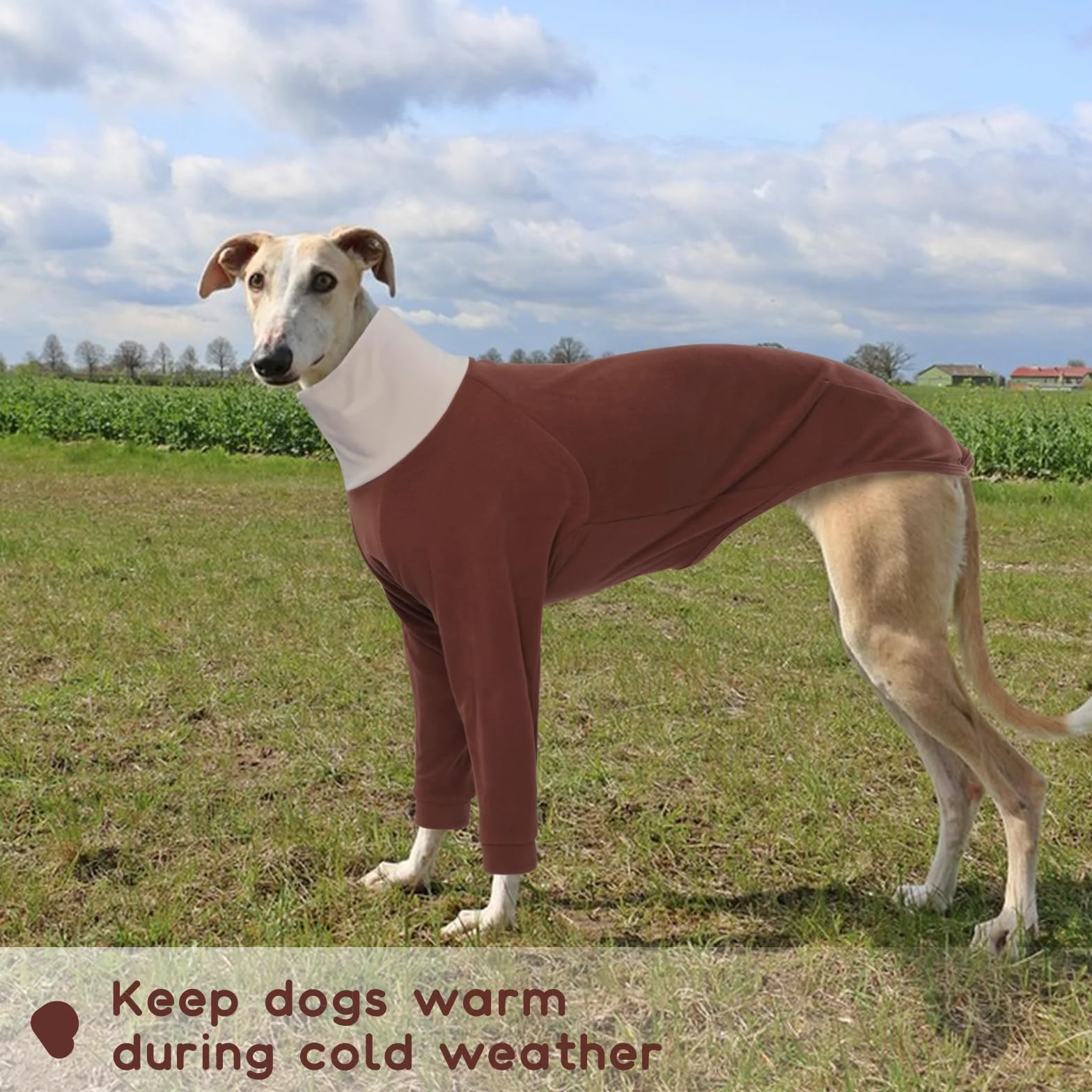 Sweter charta, polar, sweter dla psa, średni dla whipetów, pulower, szary, piżama, Lurcher, koszula polarowa, whippet, piżama, bluzy dla psów (brązowy, M)