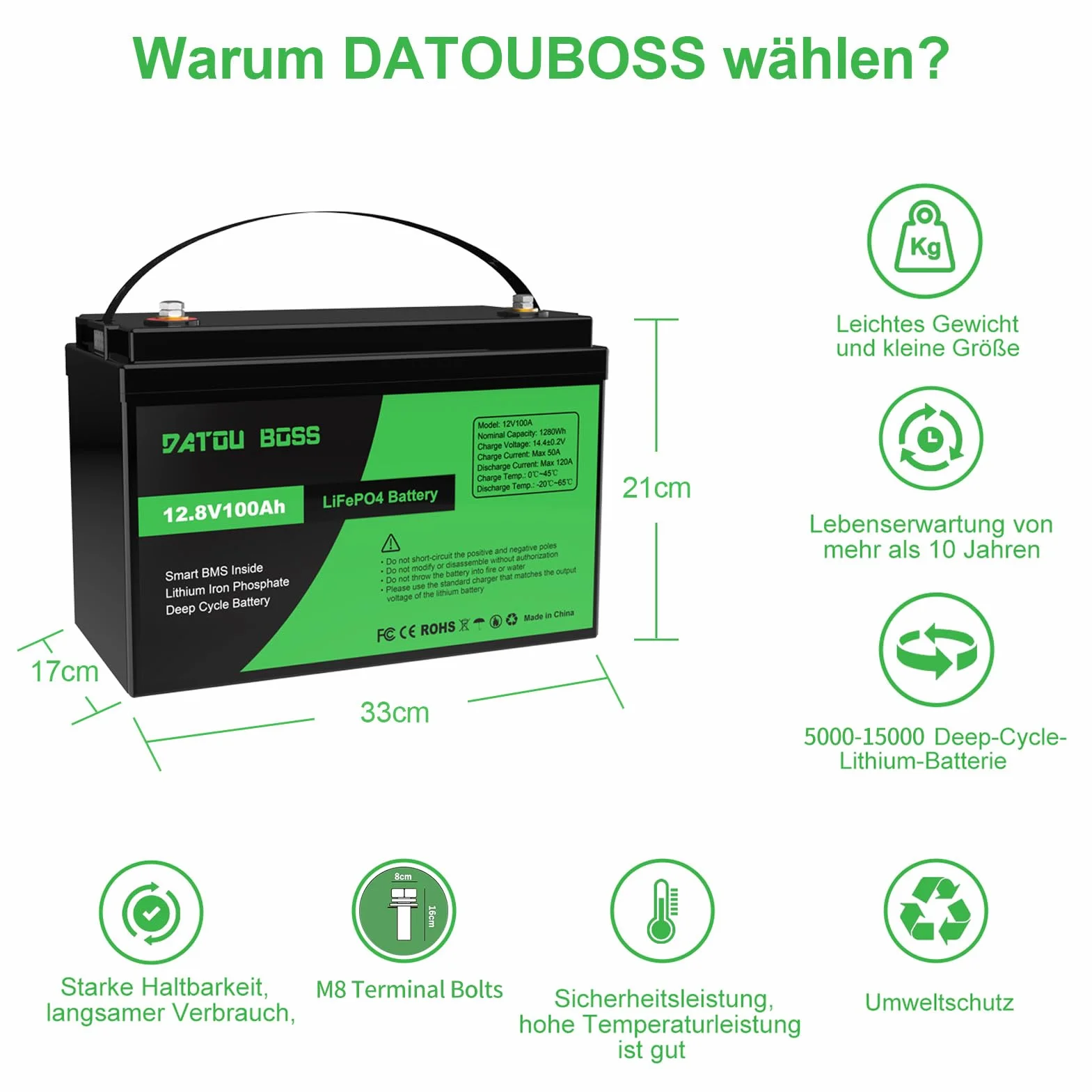 DATOUBOSS akumulator LiFePO4 12V 100Ah 1280Wh BMS 100A