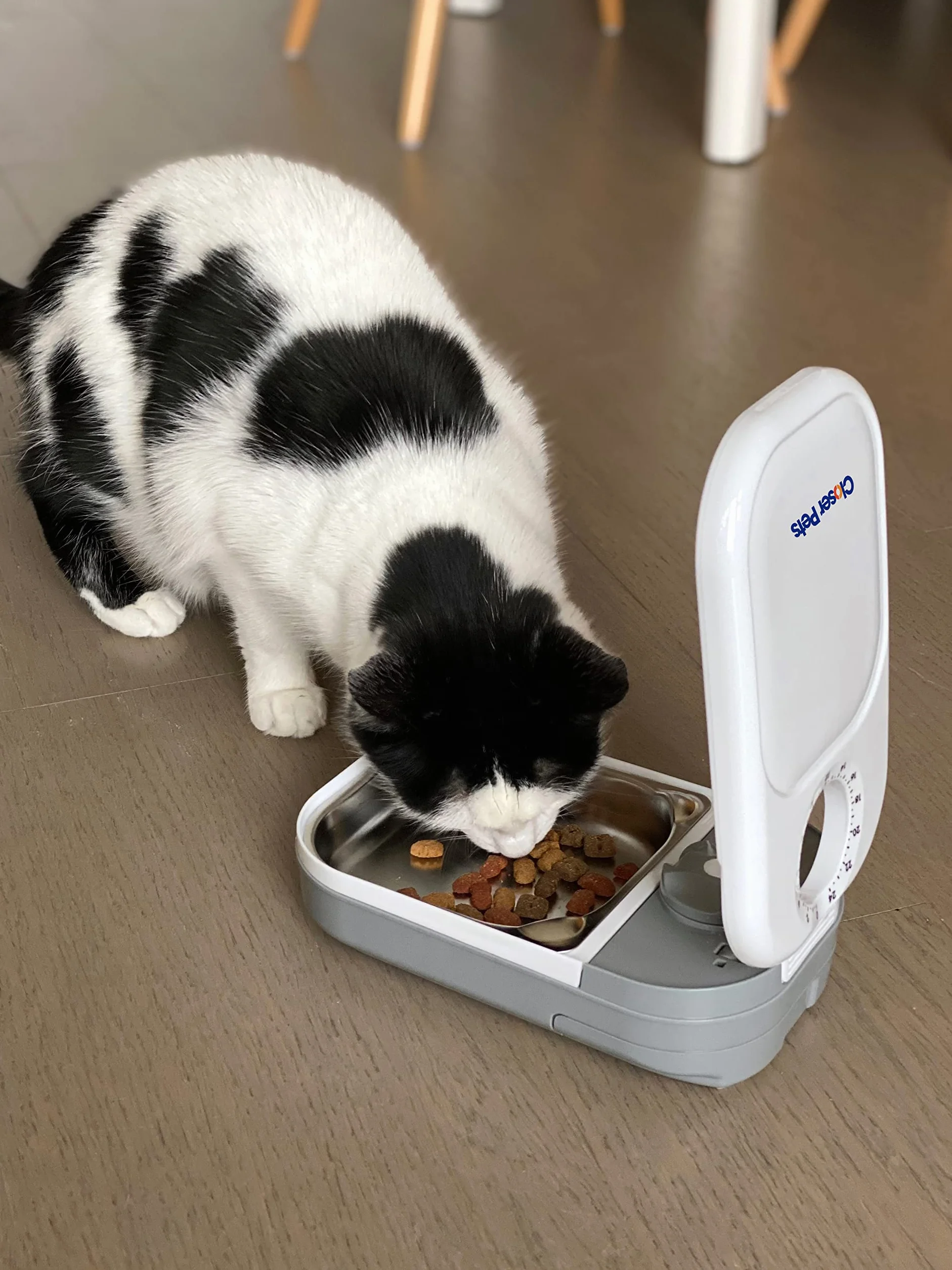 Closer Pets C100 automatyczny karmnik dla zwierząt domowych dla kotów i małych psów z wkładką ze stali nierdzewnej