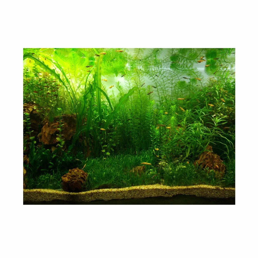 Styl trawy wodnej akwarium akwarium plakat pogrubiony PCW samoprzylepna naklejka tło tapeta plakat akwarium tło dekoracja (61 x 30 cm)