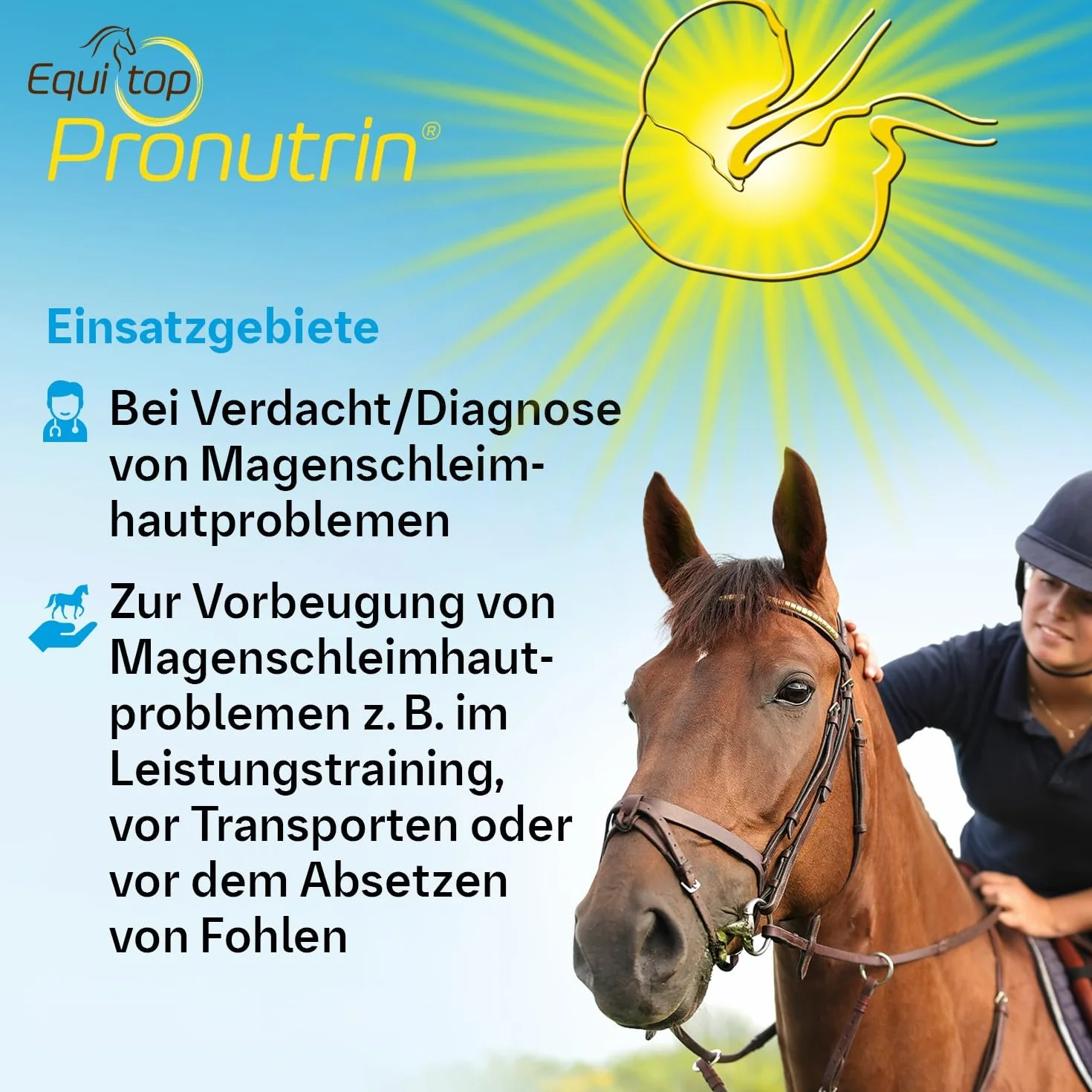 Boehringer-Ingelheim Unisex's BIH0030 Equitop Pronutrin, przezroczyste, regularne
