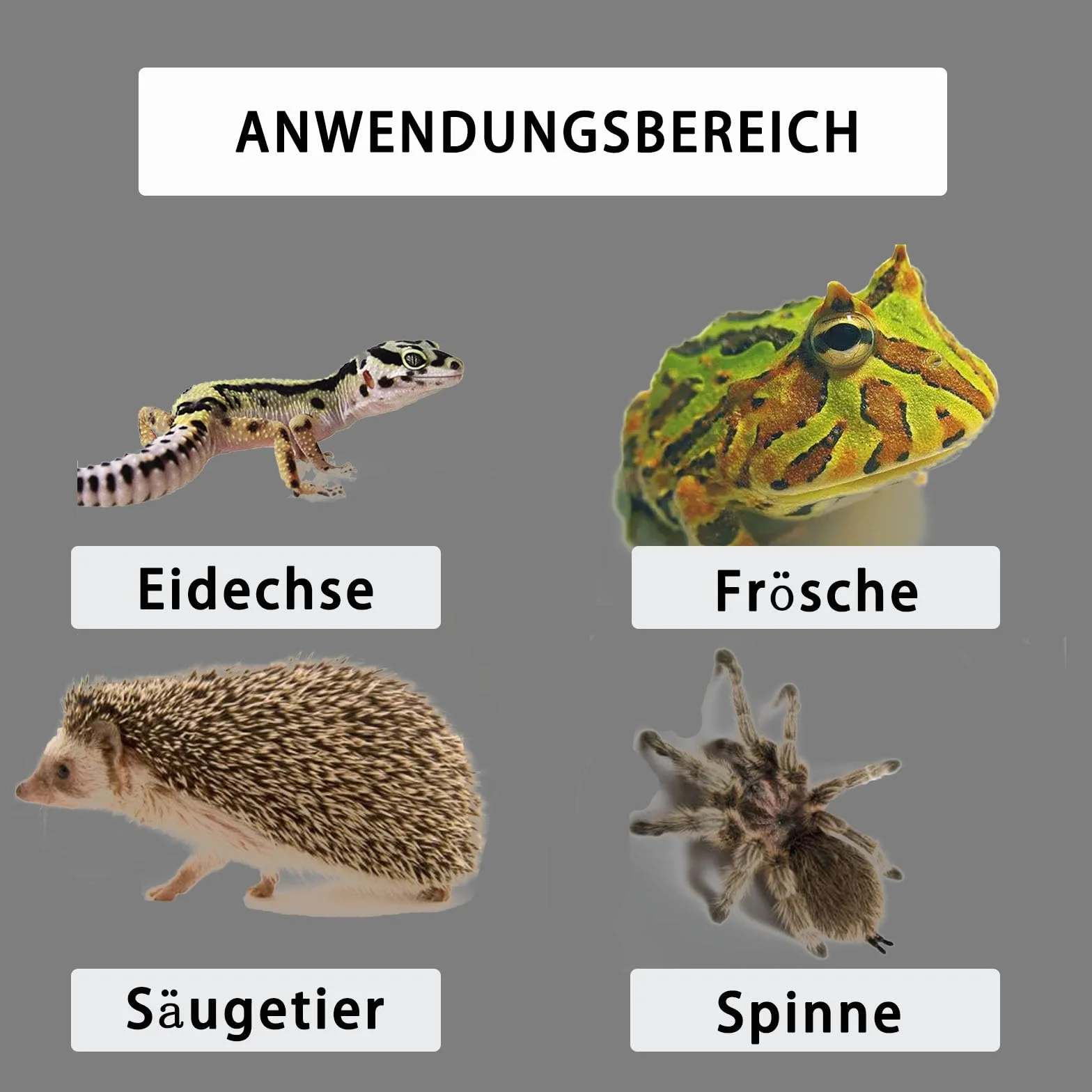GERUI 2 sztuki poduszek grzewczych dla zwierząt domowych, 10 W, szklany pojemnik, dla gadów, otoczenie mieszkania, regulacja temperatury, węże, jaszczurki, gekony, skorpiony, pająki, podstawa