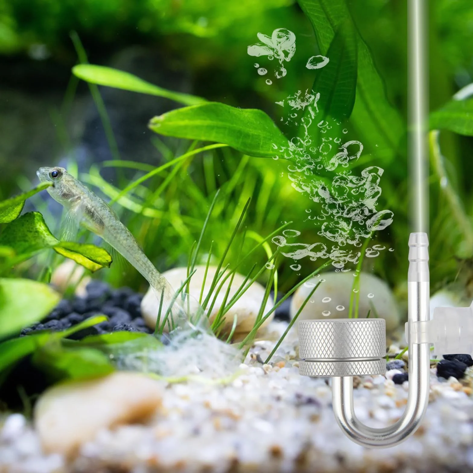 YUE QIN Dyfuzor CO2 do akwarium ze stopu aluminium, dyfuzor CO2, akcesoria z przyssawkami i U-Pipe, dyfuzor dwutlenku węgla, do akwarium, roślin słodkowodnych