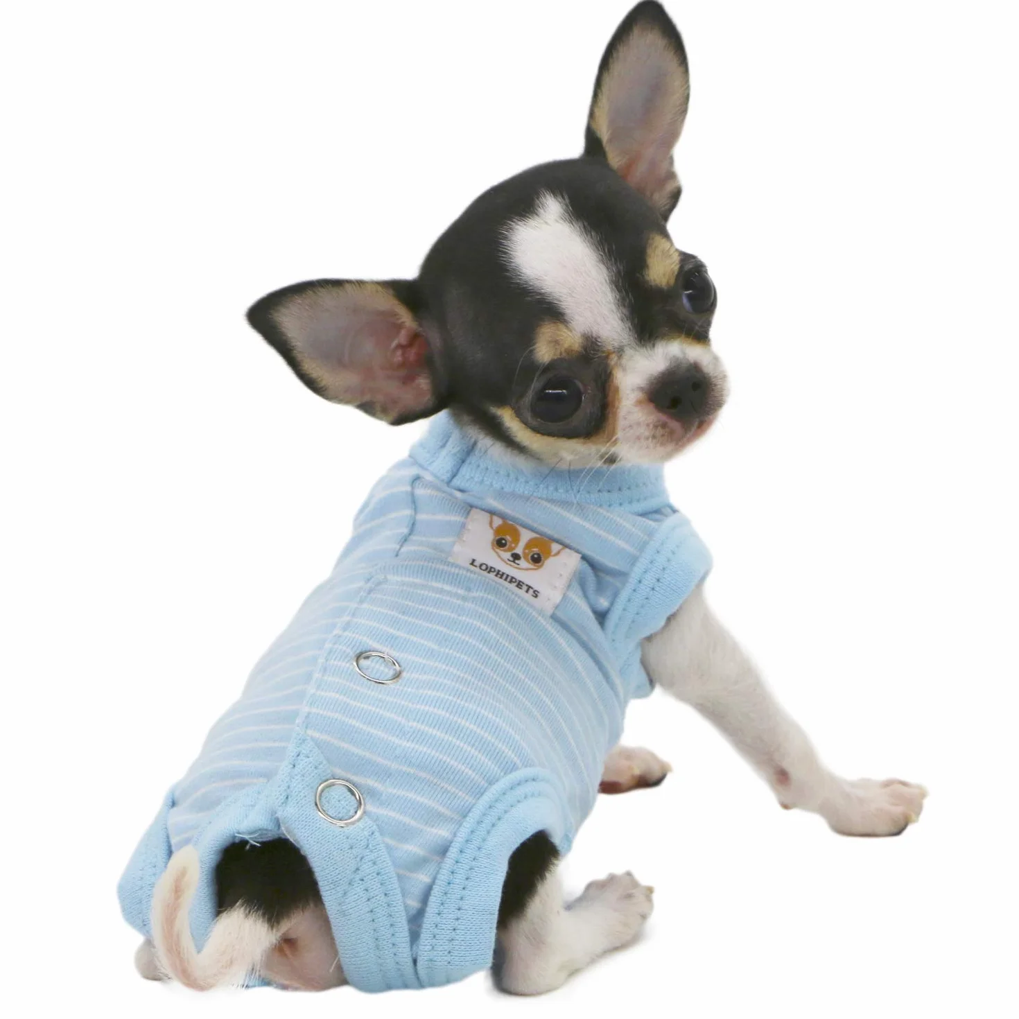 LOPHIPETS Dziewczynka pies koszule regeneracji garnitur piżama dla małych filiżanek pies chihuahua yorkie szczeniak kot ubrania-Cambridge niebieskie paski/XS