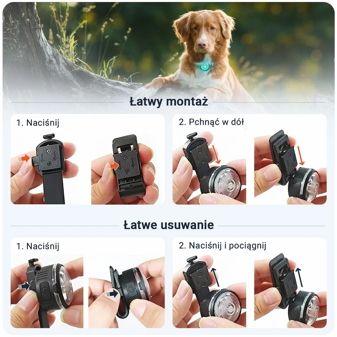 PAJ LIGHT MINI - Mini Świecąca Obroża LED Dla Małych I Średnich Psów I Kotów - Regulowane Mocowanie - 100% Wodoodporna - 7 Kolorów - Widoczność I Bezpieczeństwo W Nocy