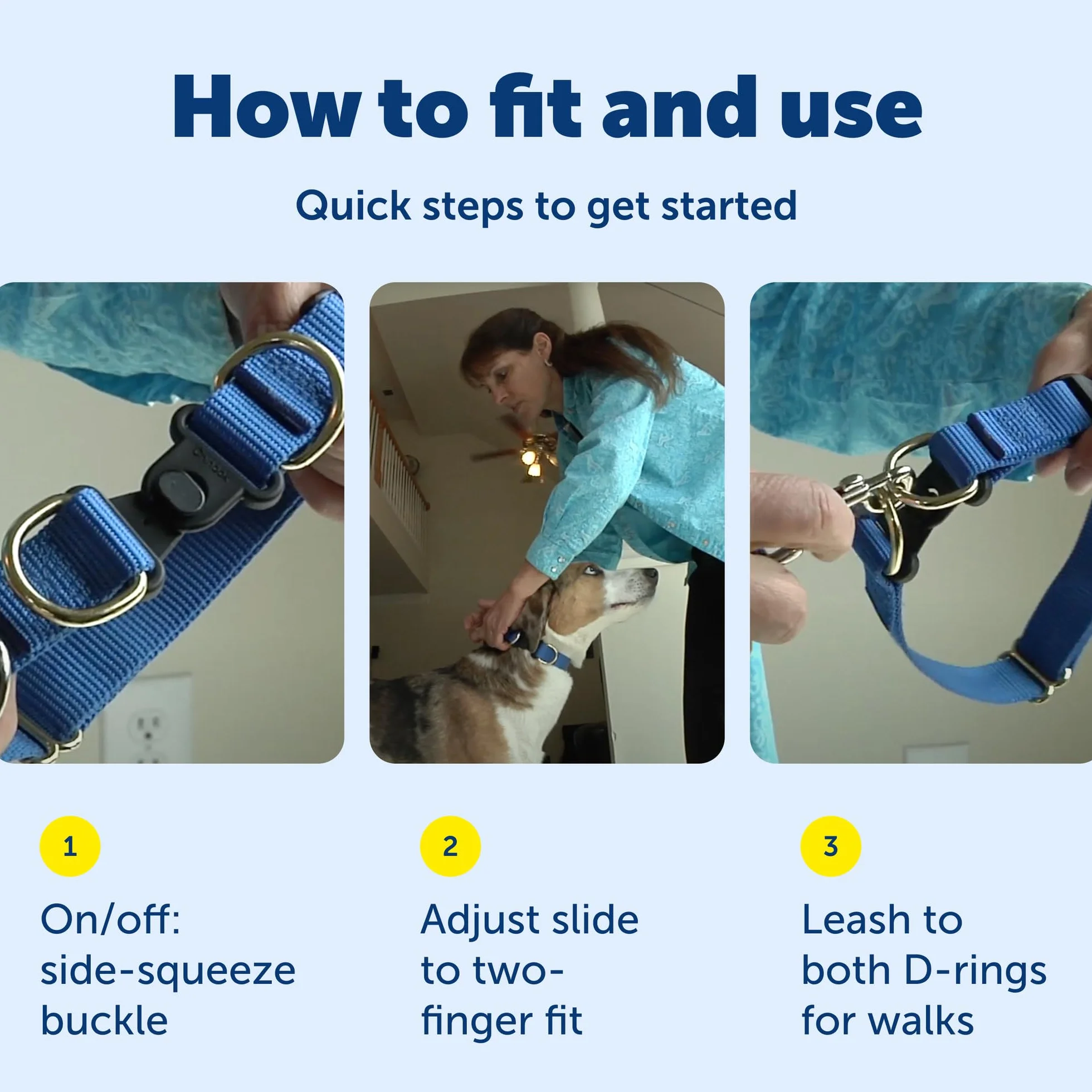 PetSafe KeepSafe Collar for Dogs - Protects Against Collar Accidents - Long Lasting - Durable - Adjustable - Breakaway - Outdoor-Safe - Small - 3/4 in. Wide - Blue