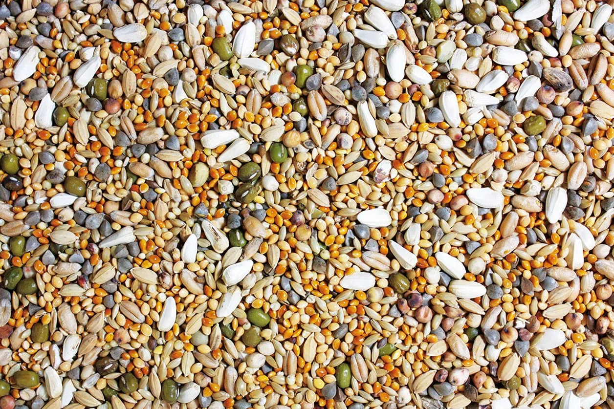 JR FARM Birds karma dla dużych papużek 1 kg