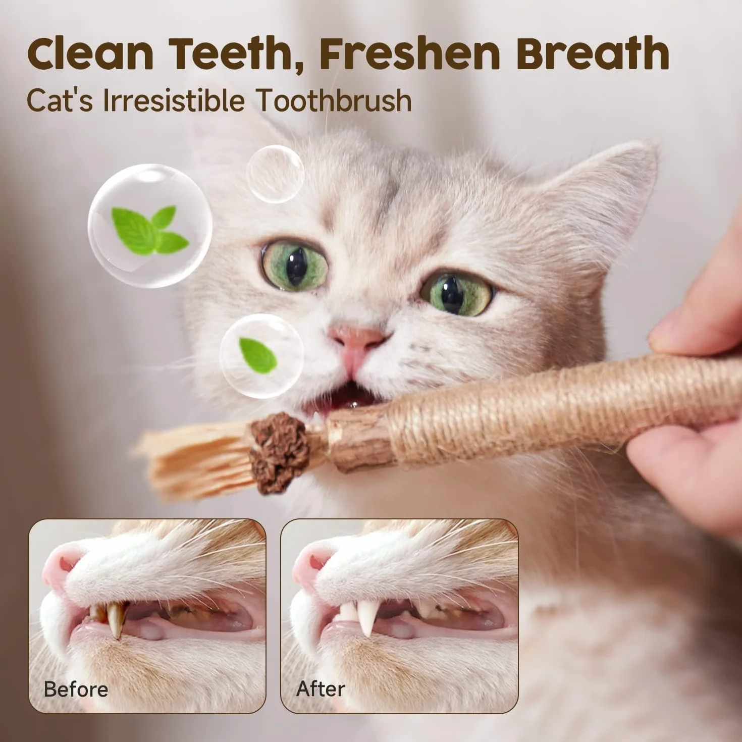 9 Pcs Kitten Teething Toy（6 Pcs Cats Chew and 3 Pcs Cat Rope Toy）Catnip Toys for Cats丨Kitten Chew Toys for Indoor Cat Teeth Cleaning Teething and Stress Release
