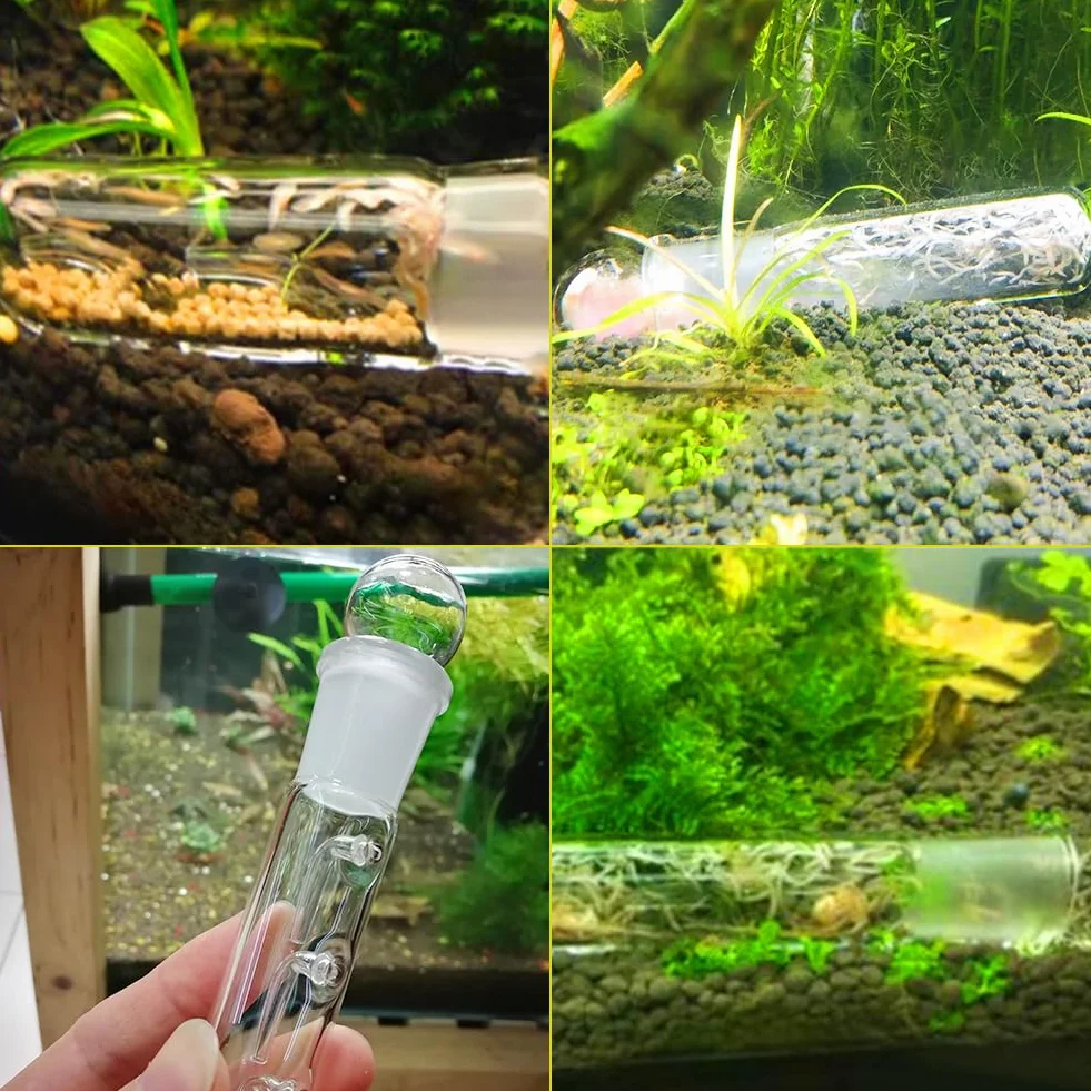 Wydajna pułapka planaria, 2 sztuki, 3 otwory, przezroczyste szkło, pułapka Planaria do akwarium, przezroczyste szkło łapacz pułapki (do wielokrotnego użytku)