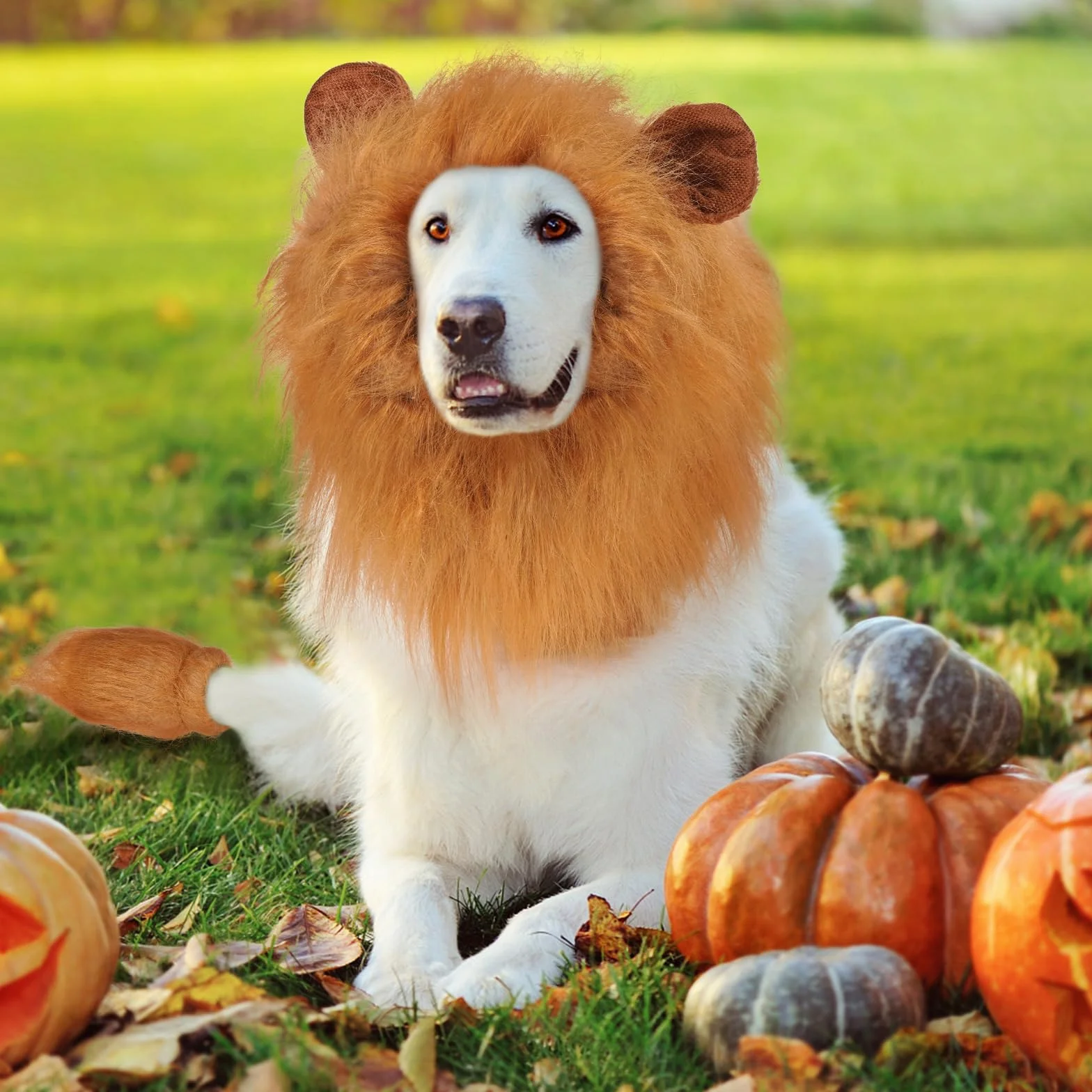 Kostium lwa grzywa dla psa, realistyczna, zabawna peruka z lwem dla średnich i dużych psów, na Halloween, fantazyjny pies, lew, grzywa (brązowe ucho ogon)