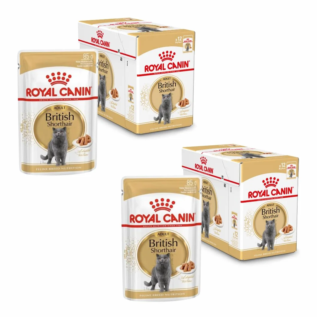 Royal Canin British Shorthair | dwupak | 2 x 12 x 85 g | mokra karma dla dorosłych brytyjskich kotów z krótkim włosiem | nadaje się od 12 miesiąca życia | małe kawałki sosu
