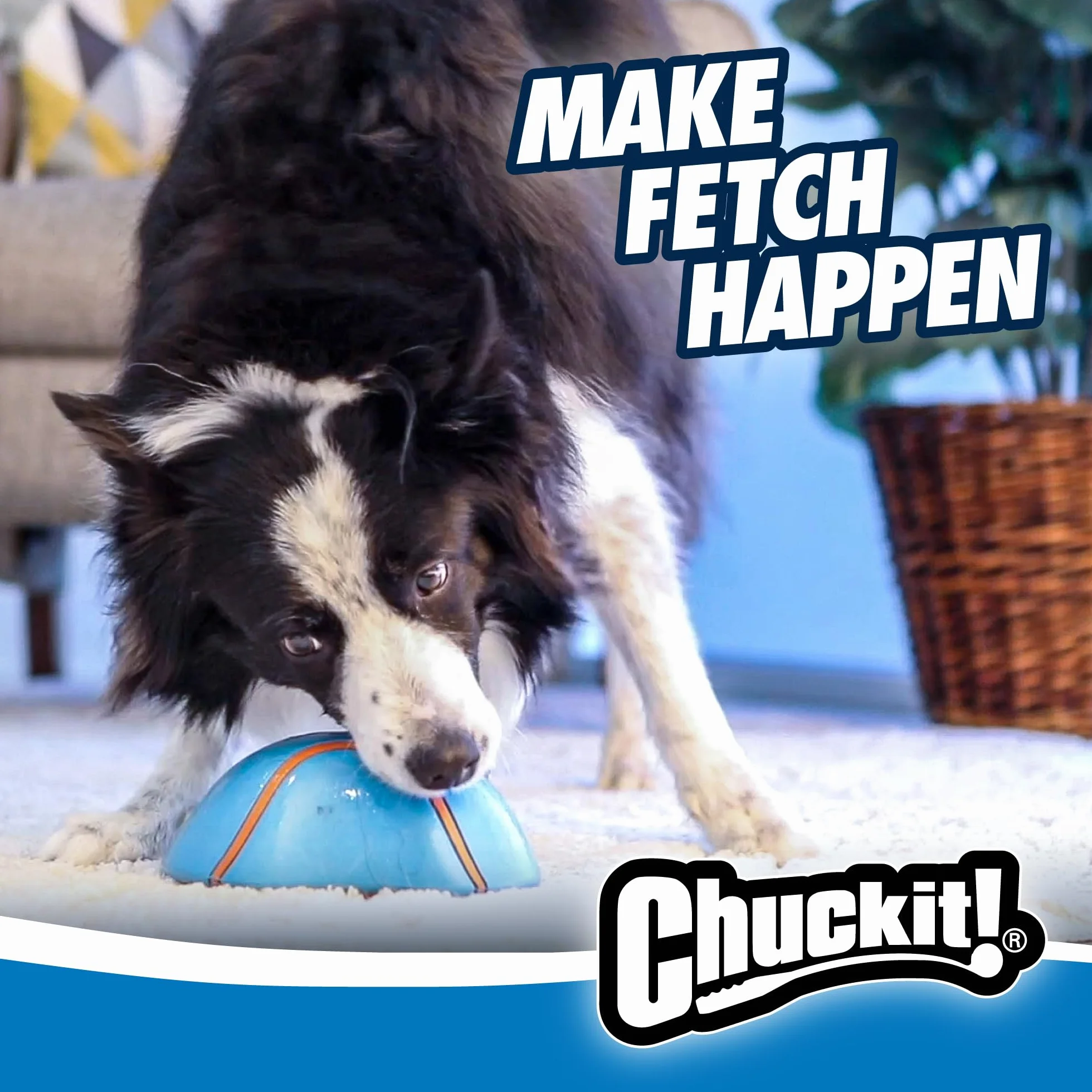 Chuckit! Zabawka do wnętrz Super Slider Dog Self Fetch Squeaker - nieszkodliwo ślizga się po większości powierzchni wewnętrznych zabawka do zabawy dla psa, niebieska