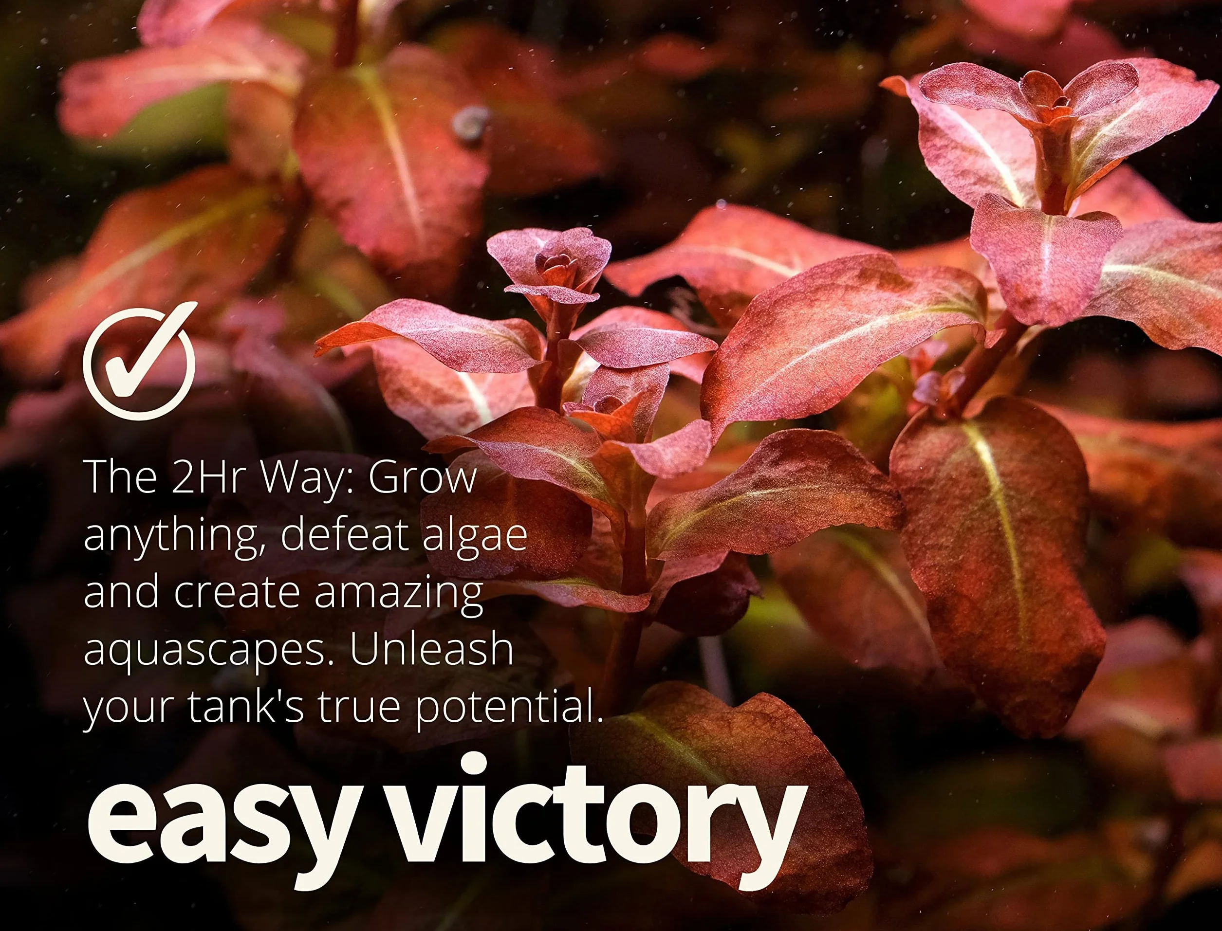 2Hr Aquarist Aquarium plant fertilizer nawóz do roślin akwariowych APT Complete (300ml)