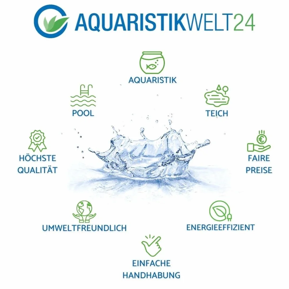 AquaOne Eleocharis parvula Roślina akwariowa w pełni zakorzeniona łatwa w pielęgnacji