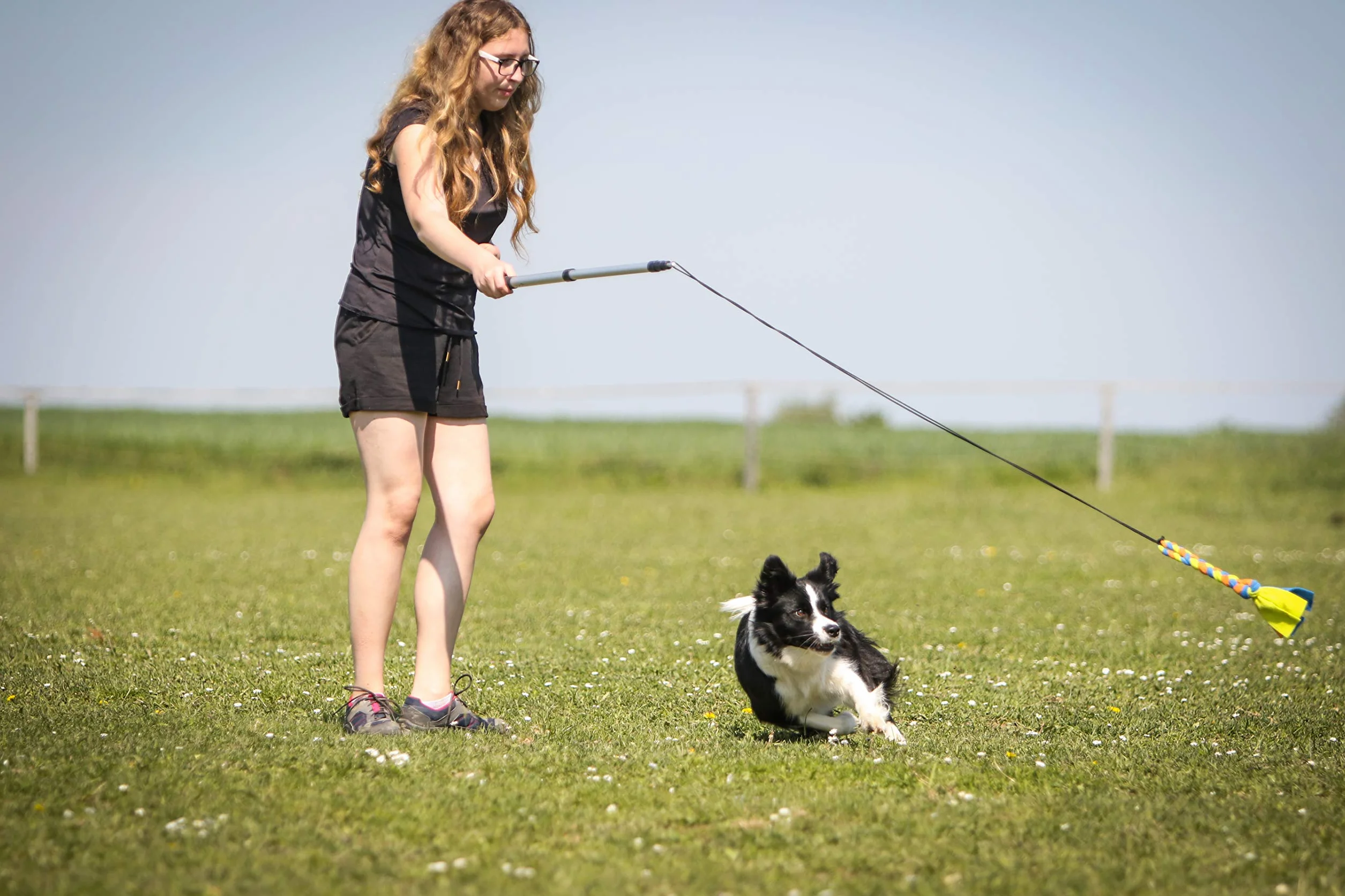 Flirt Pole for Dogs w/ Safe & Strong Non-Bungee Cord, Telescopic Lure Stick for Dogs of Any Size, Dog Toy for Training & Exercise by Yes4Quality