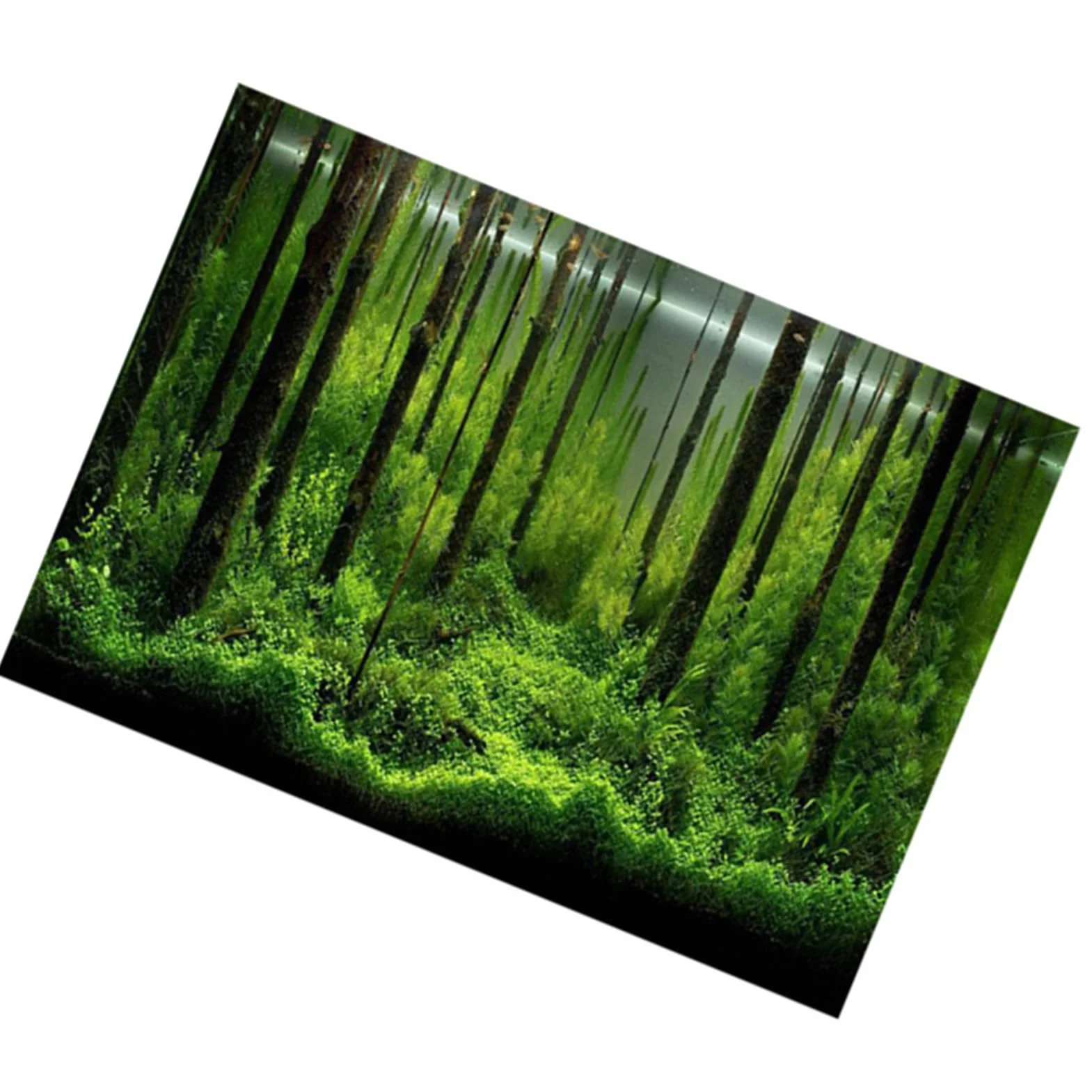 Pcv akwarium tło samoprzylepne podwodny las zbiornik tło plakatu papier do dekoracji tła (61 * 30 cm)