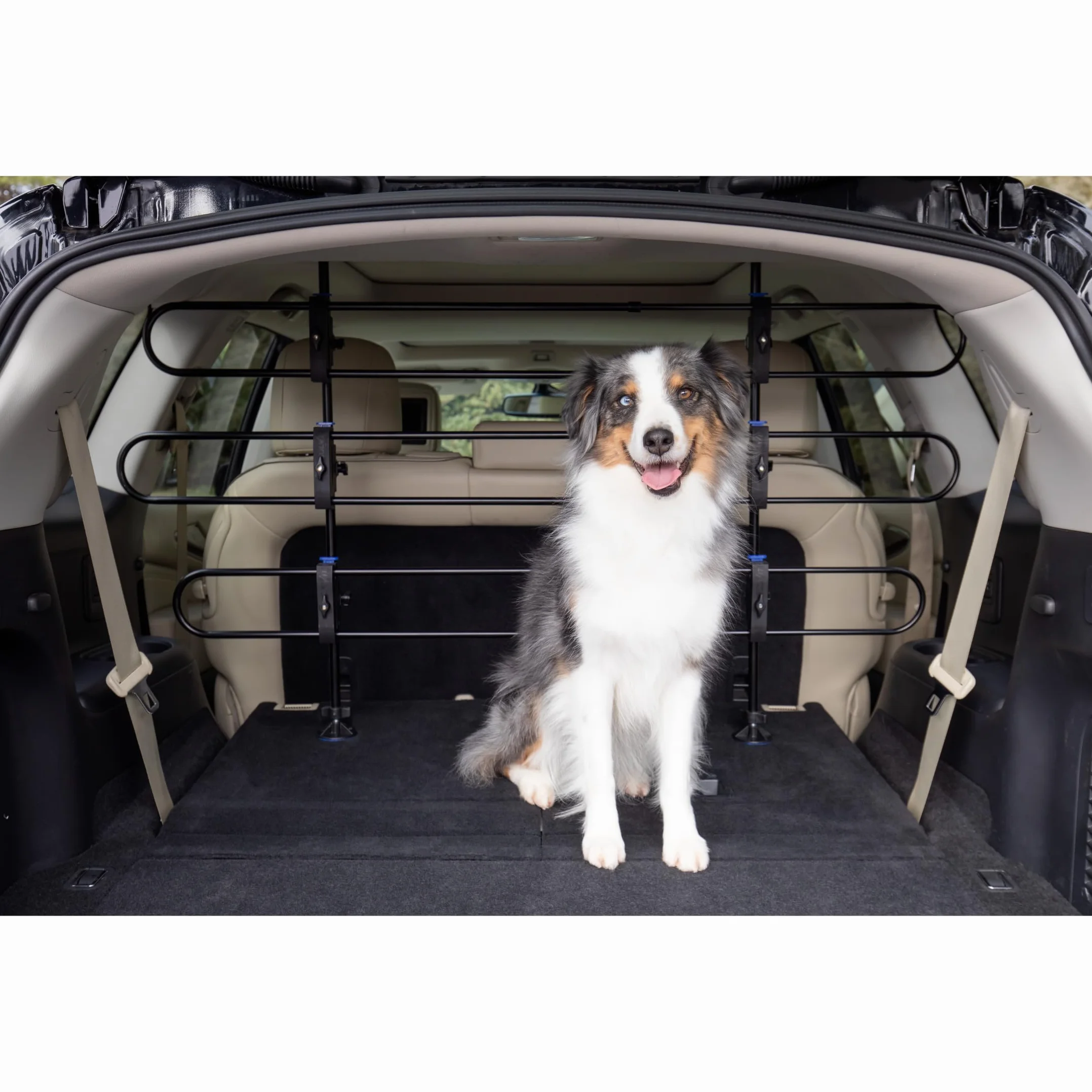 PetSafe Happy Ride metalowa bariera dla psa - przezroczysta konstrukcja rurowa, 4,5132 kg
