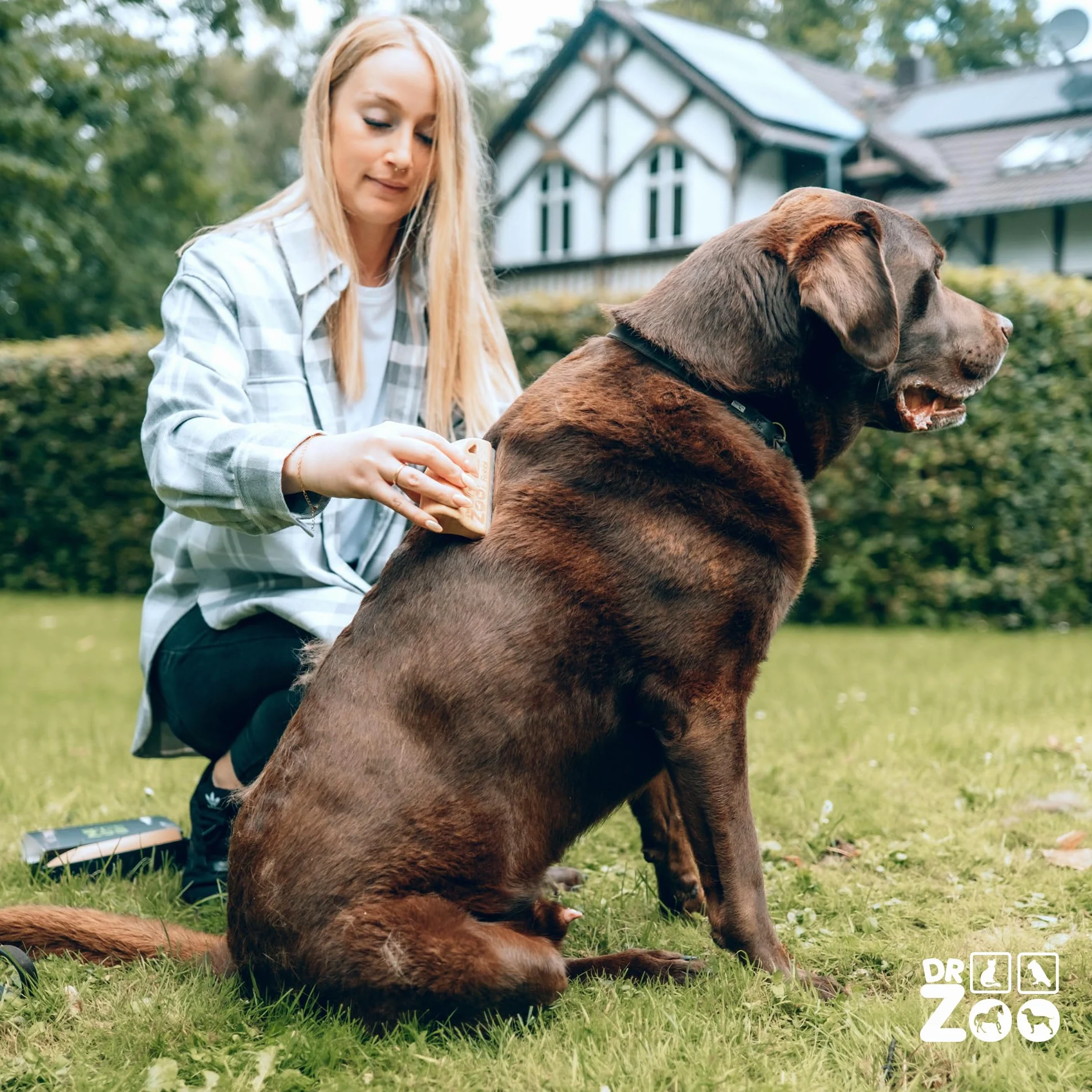 DR Zoo Szczotka dla psów "Robbi" – wysokiej jakości szczotka do pielęgnacji sierści dla małych i dużych psów, idealna do usuwania krótkich sierści z podszerstkiem
