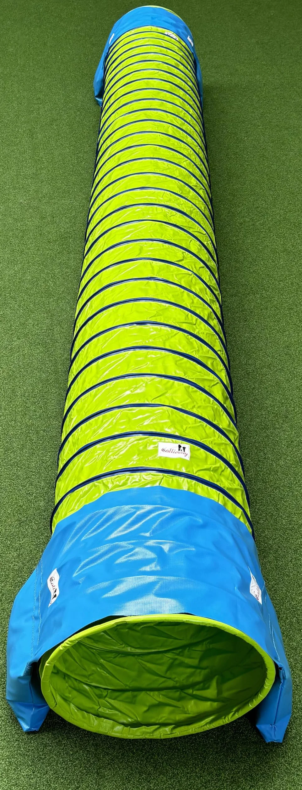 Callieway® Dog Agility tunel profesjonalny / psy tunel 5 m długości / 60 cm Ø Agility urządzenie (5 m, limonkowa zieleń)