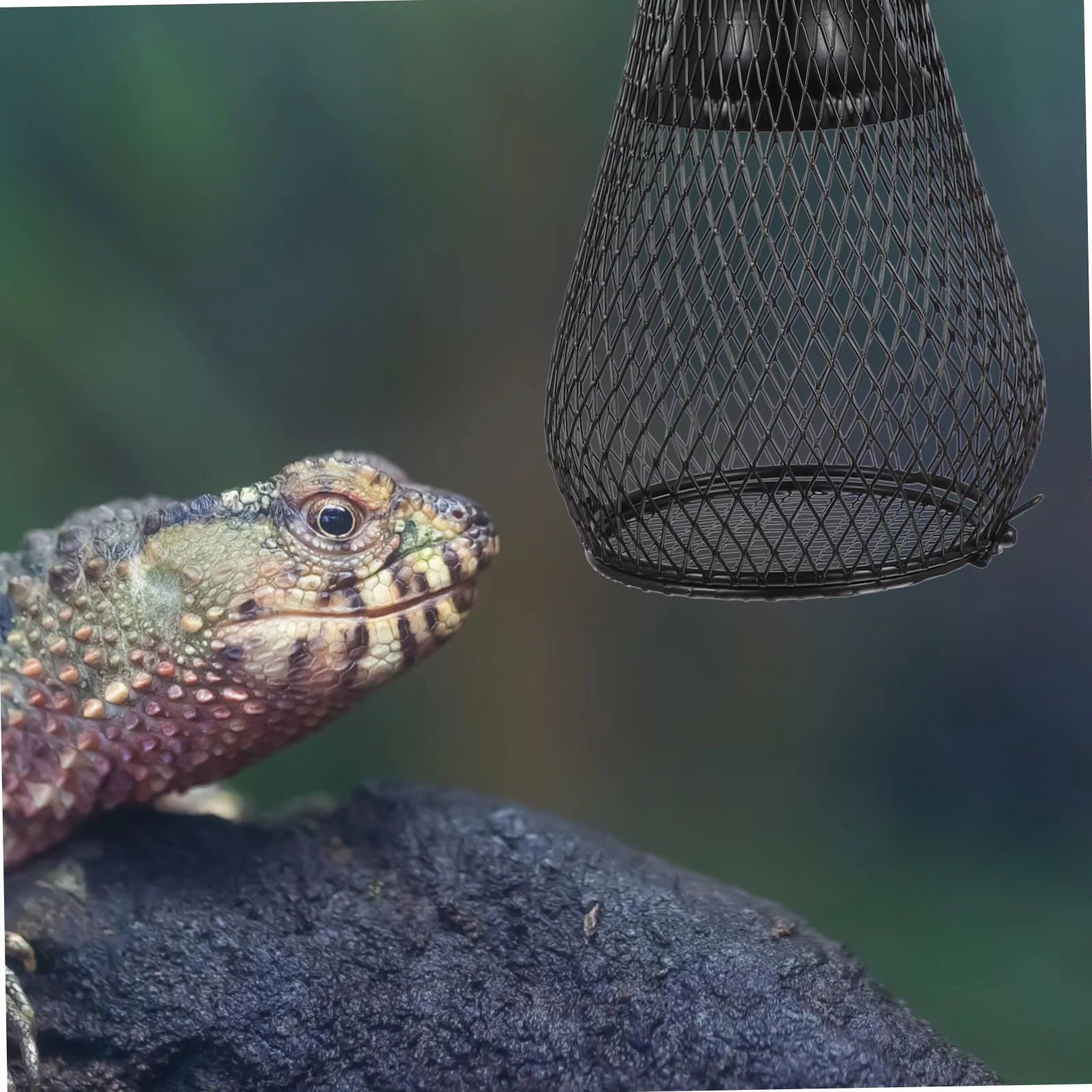Happyyami Pokrywa Lampy Grzewczej Dla Gadów Osłona Przeciw Oparzeniom Do Lampy Grzewczej Akcesorium Do Terrarium Duża z Hakiem Eu
